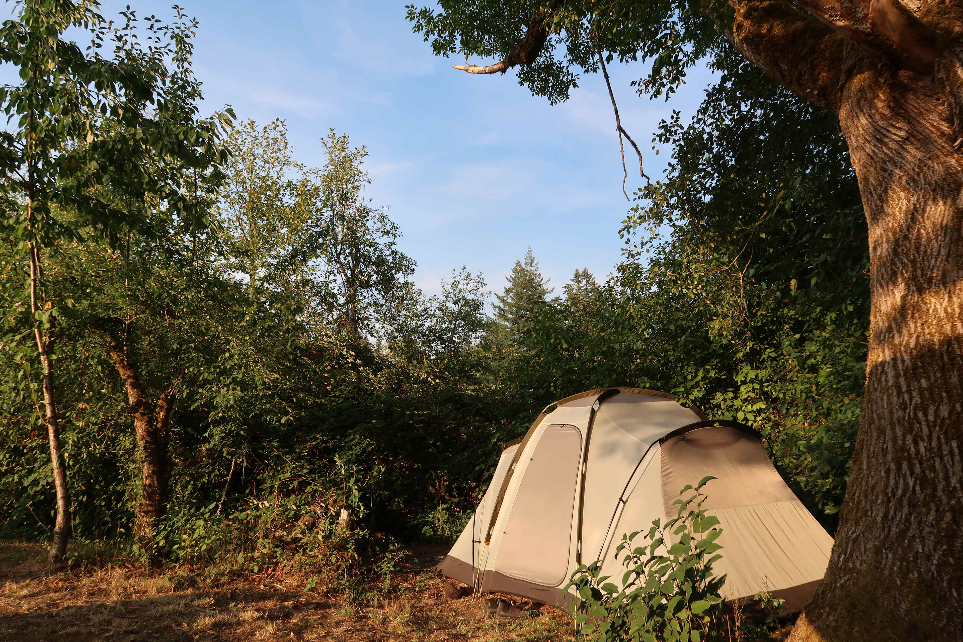 🌿 Viridia Acres 🌿