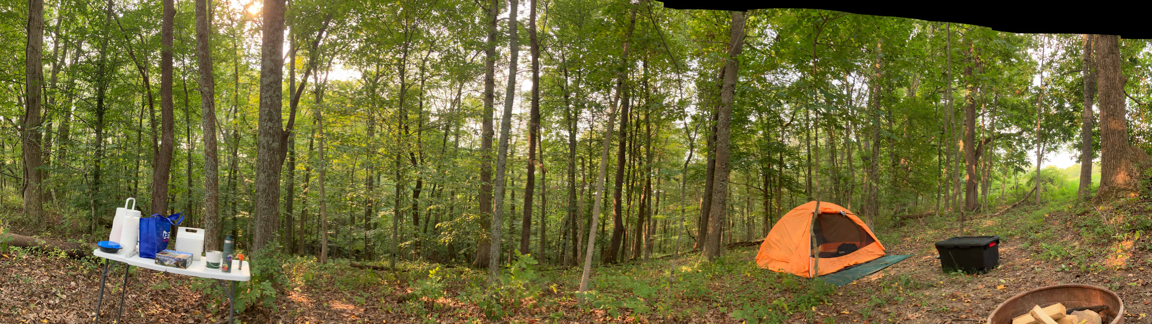 It’s as lovely and wooded as this picture looks!