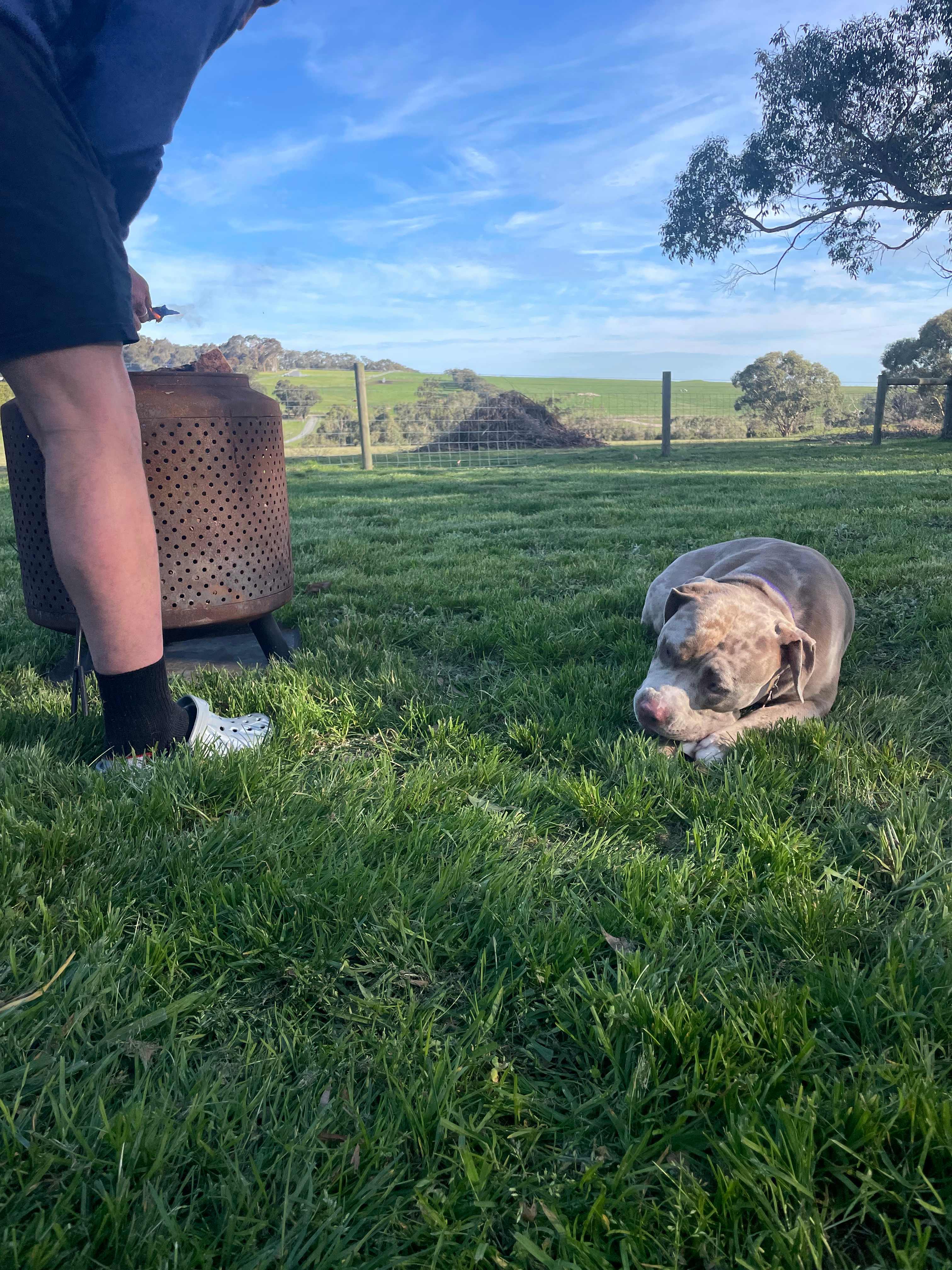 Clancy Springs, South Gippsland