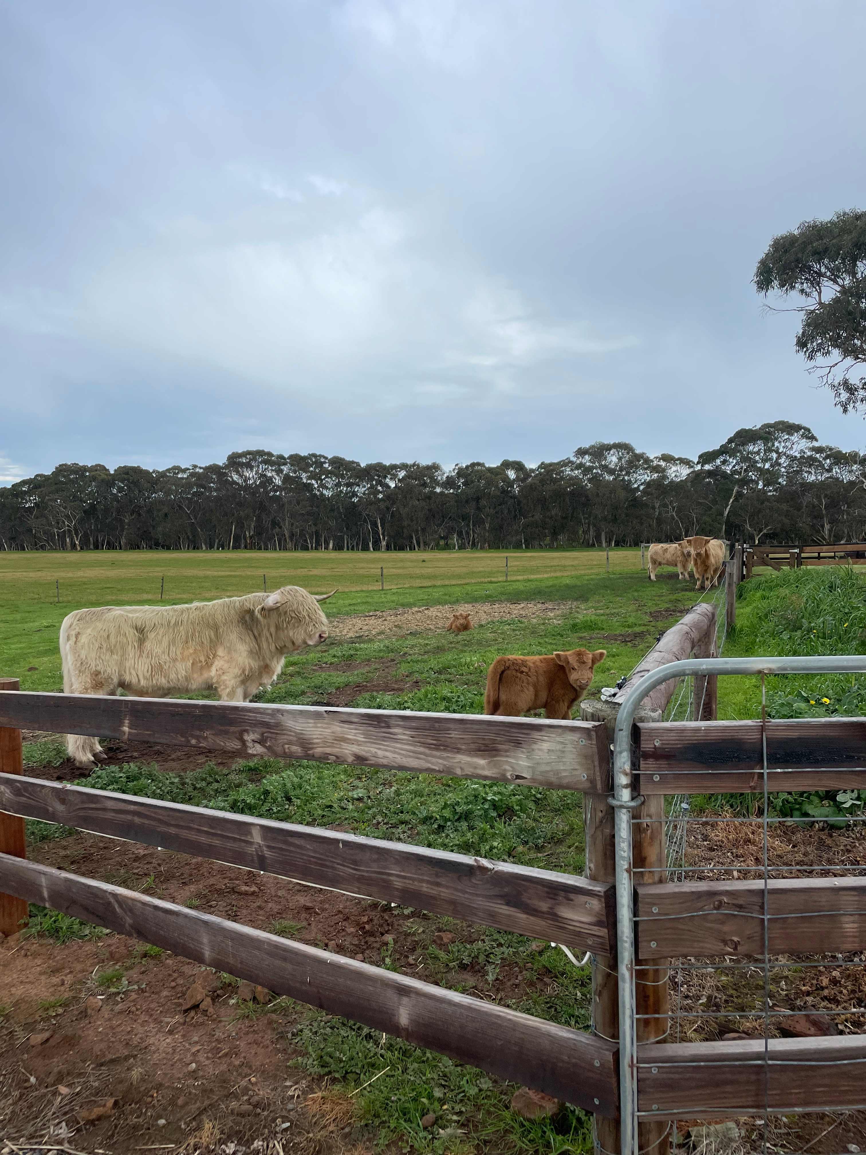 Breakaway Farmstay