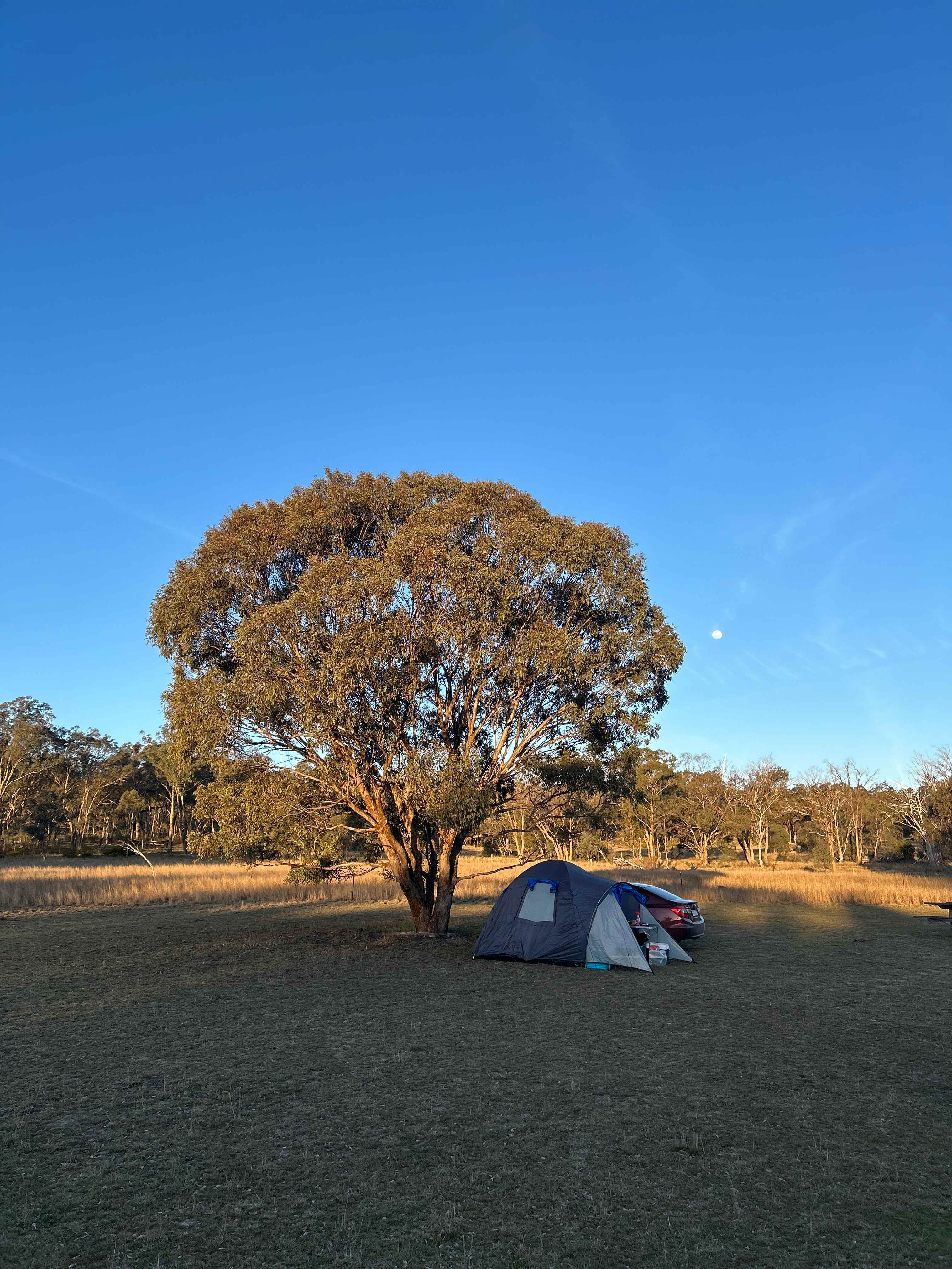 Carbean Camping & Farmstay