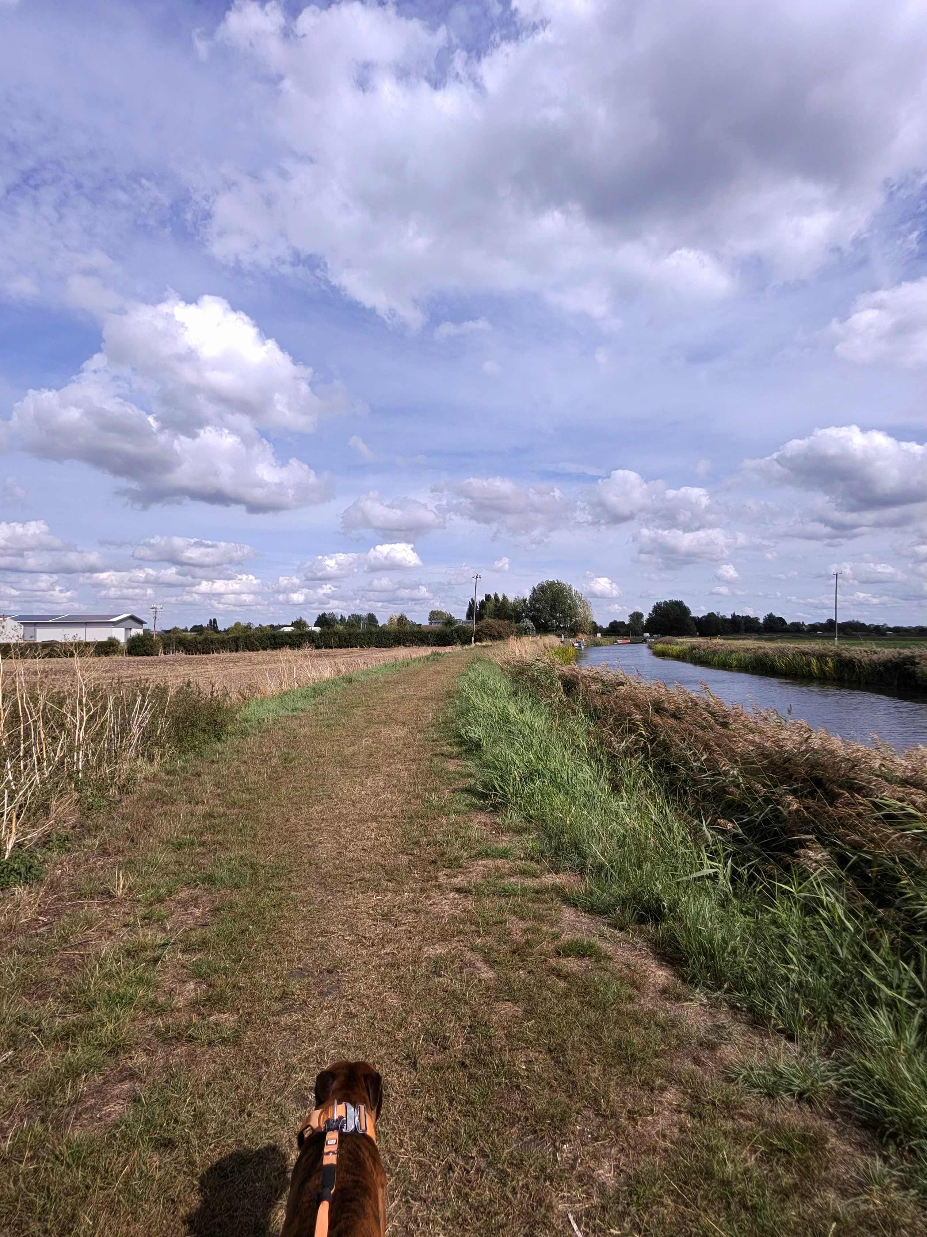 Four Winds Camping, Canoeing & SUP