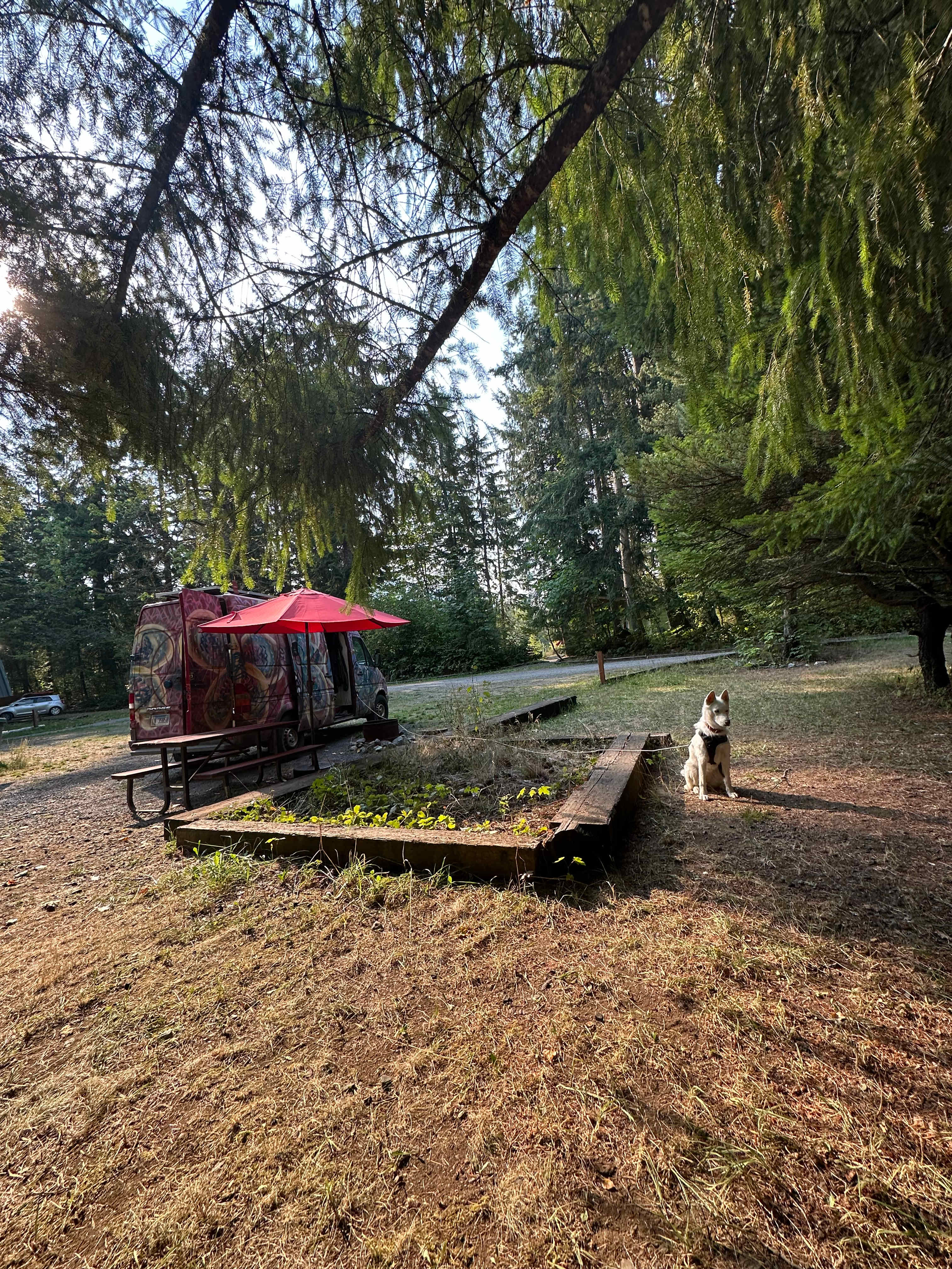 Riverside Camping Near Mt Rainier