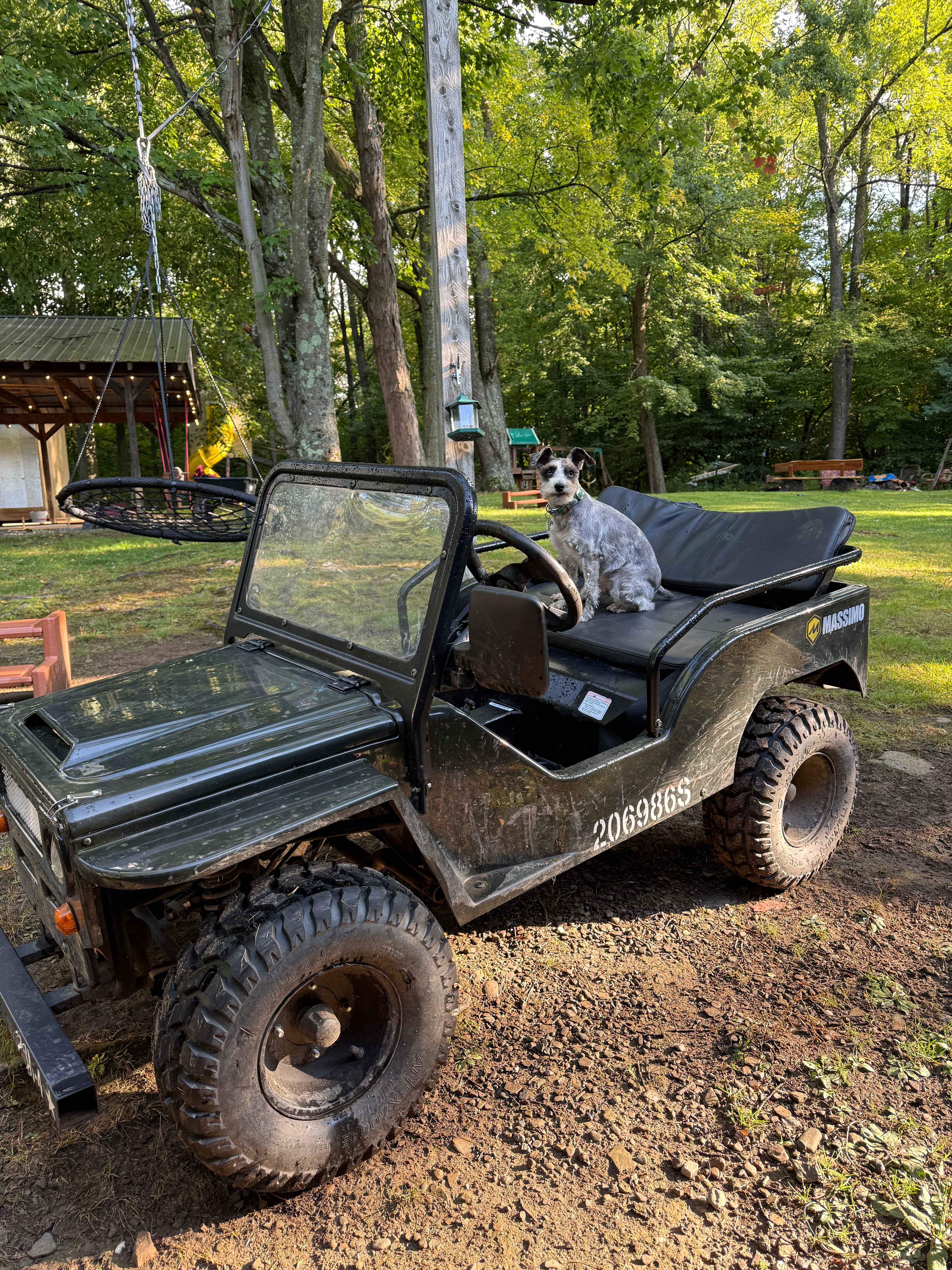 Angie's Country Cabins B&B