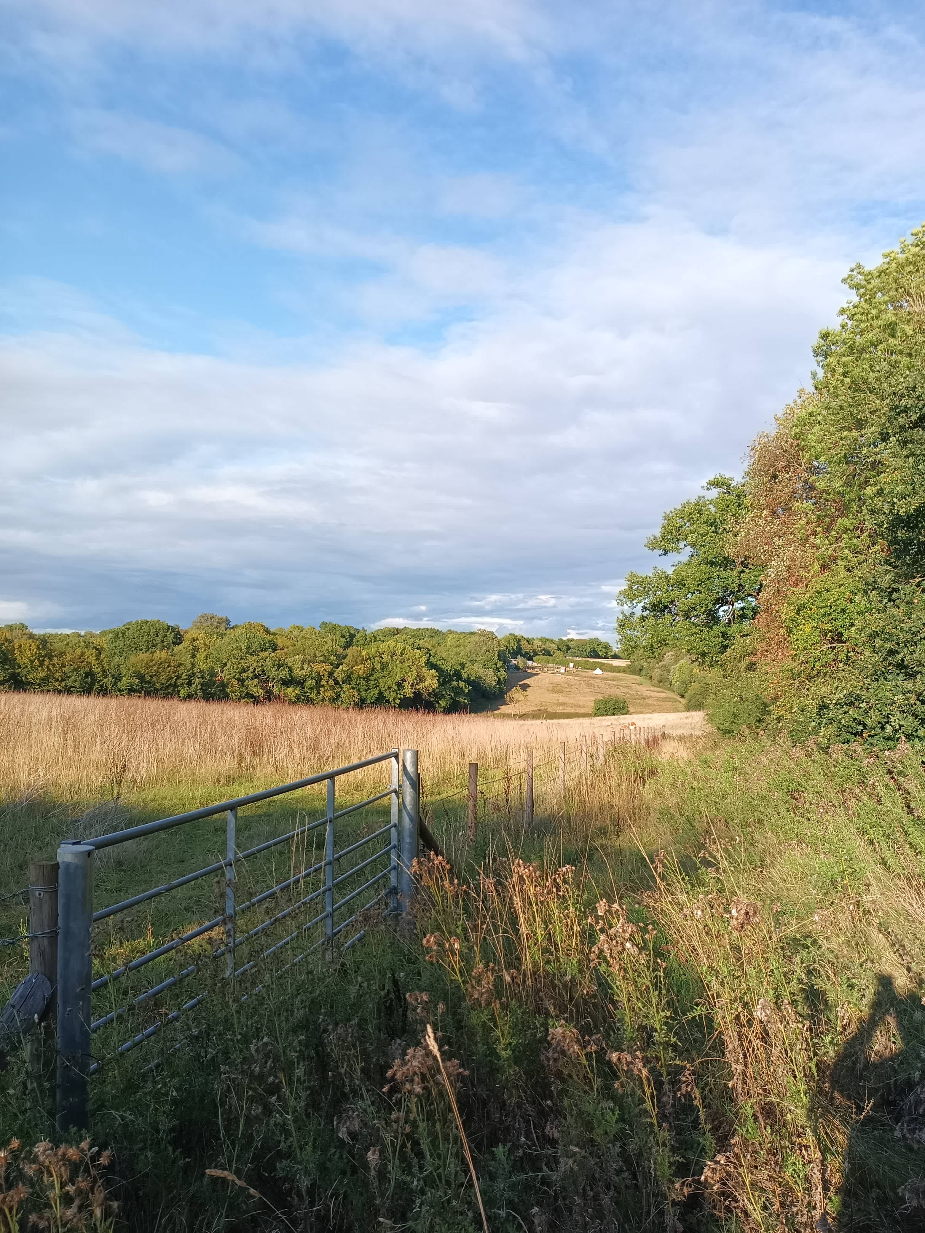 Secluded Woodland Camp