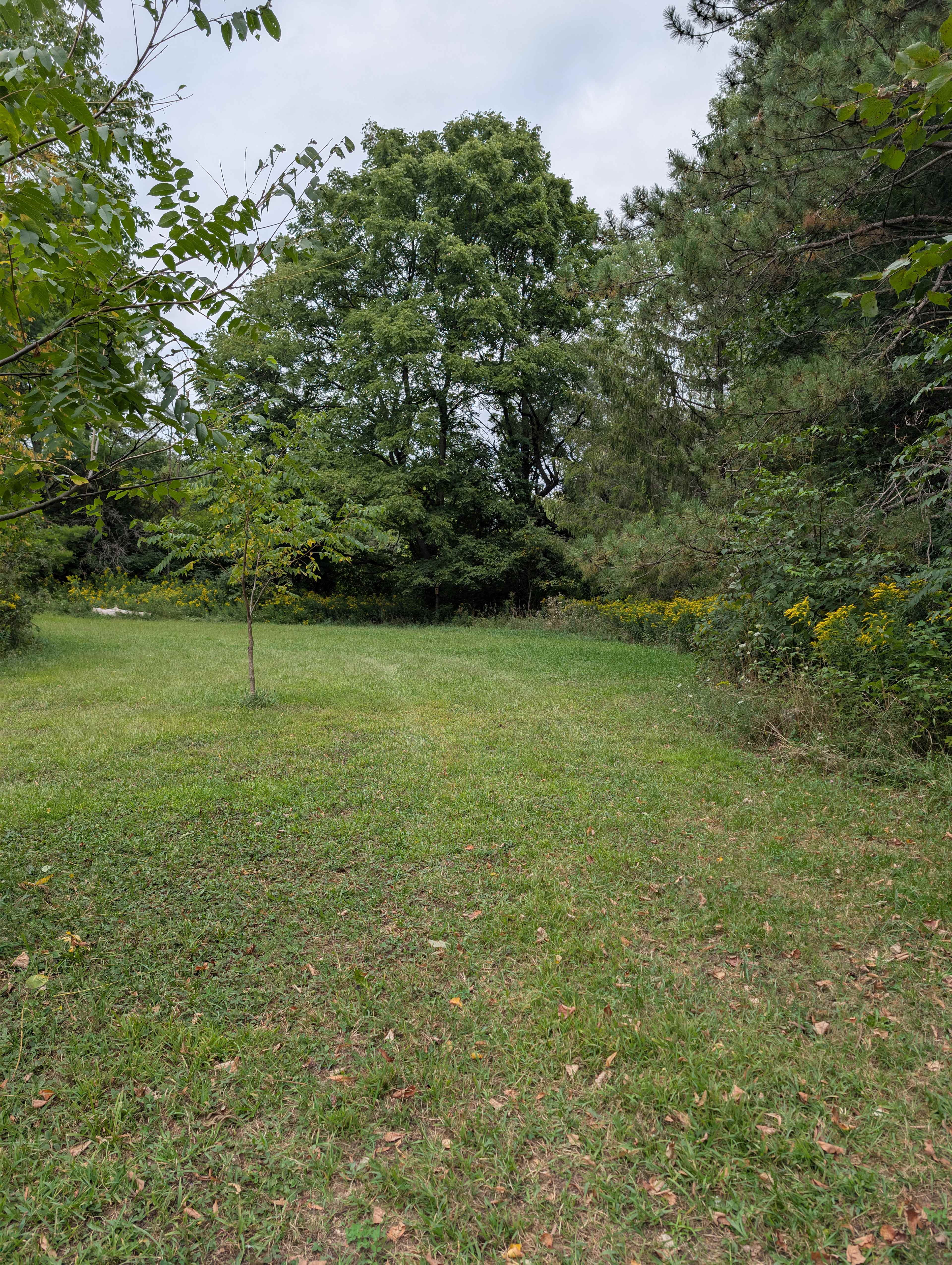 Braemar Valley Nature Sanctuary