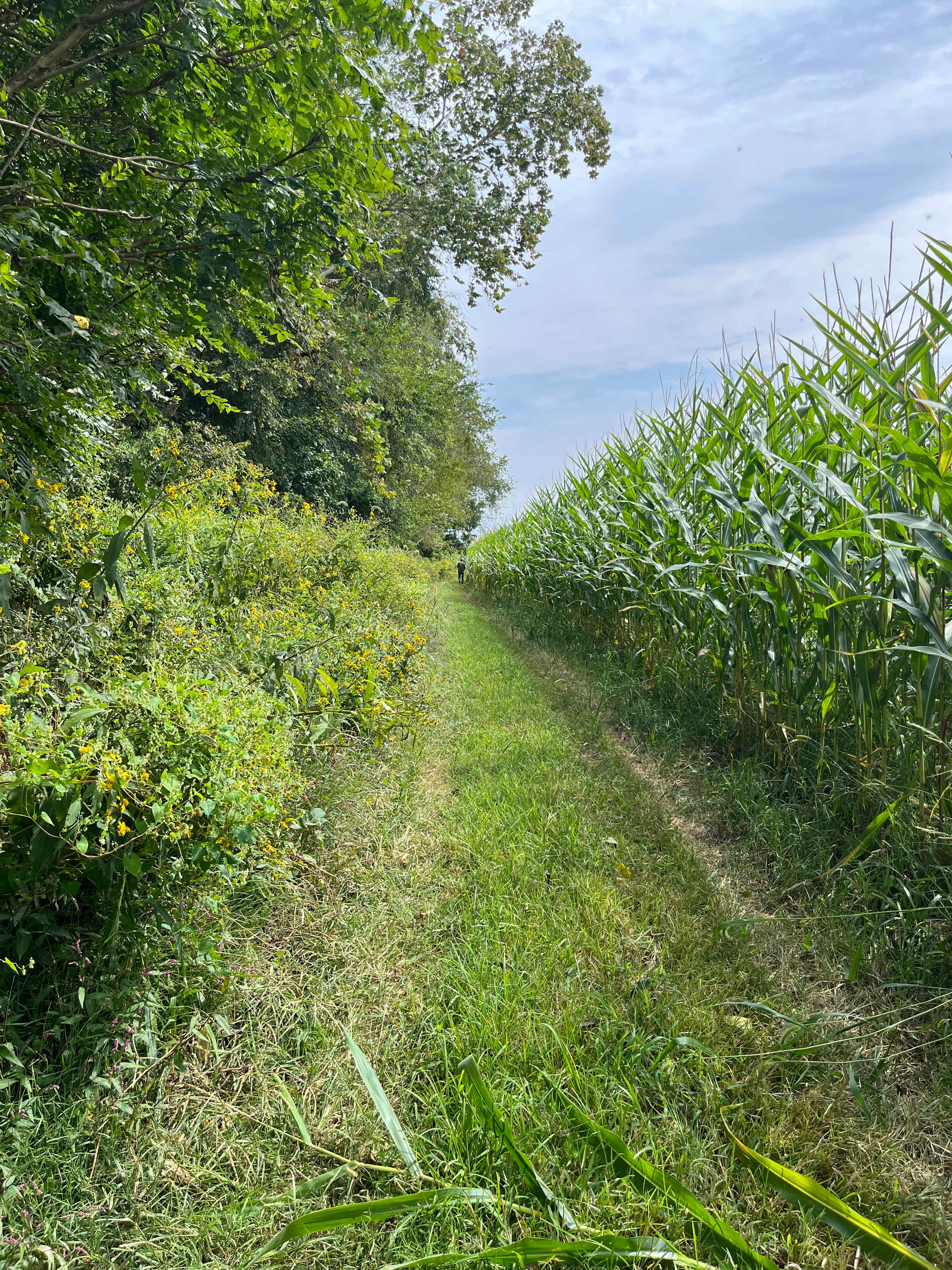 Oaklawn Land & Livestock LLC