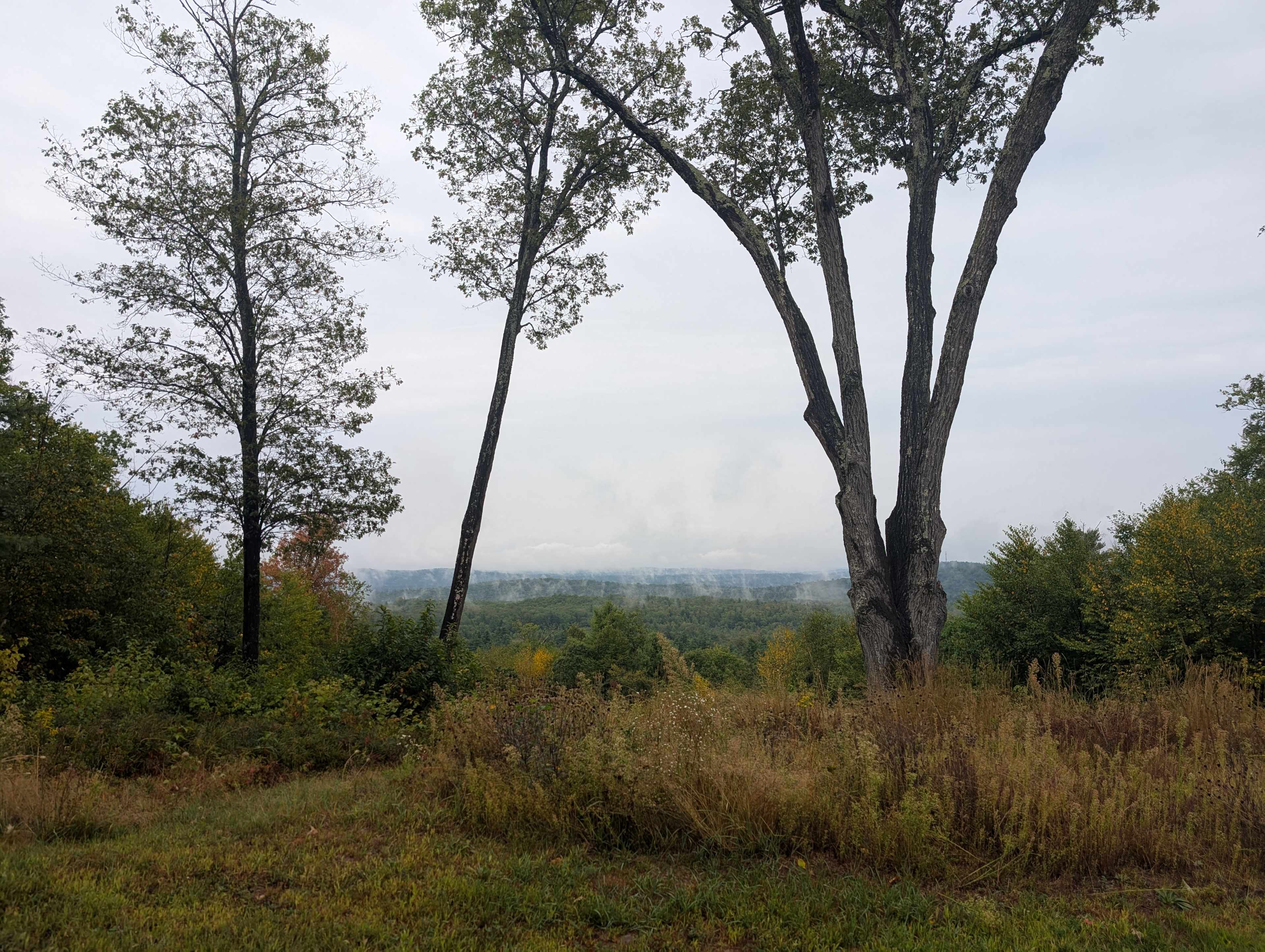 The Owls Nest @ Pustizzi Fruit Farm
