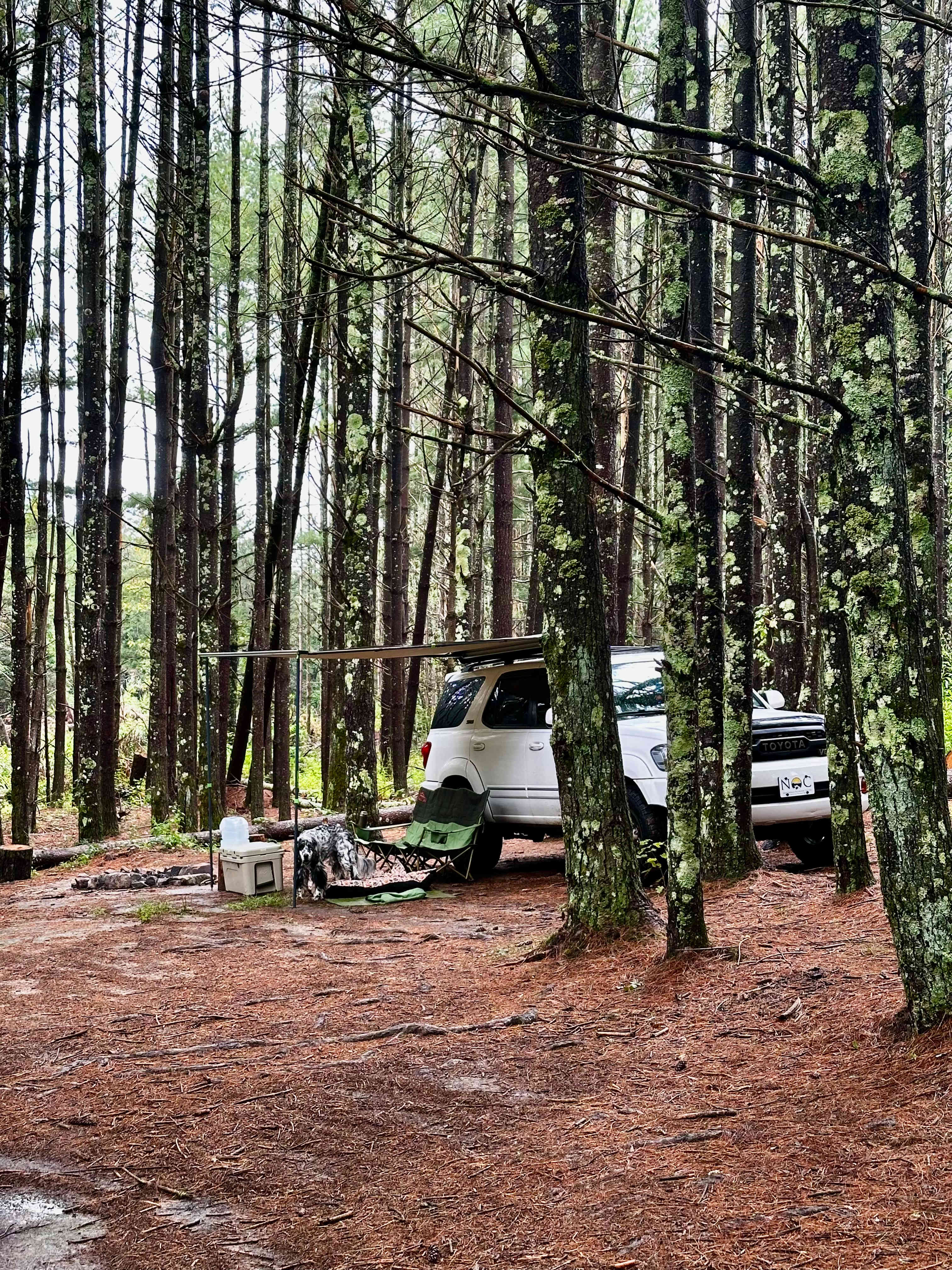 Hammock’Sway Private Off Grid Camp