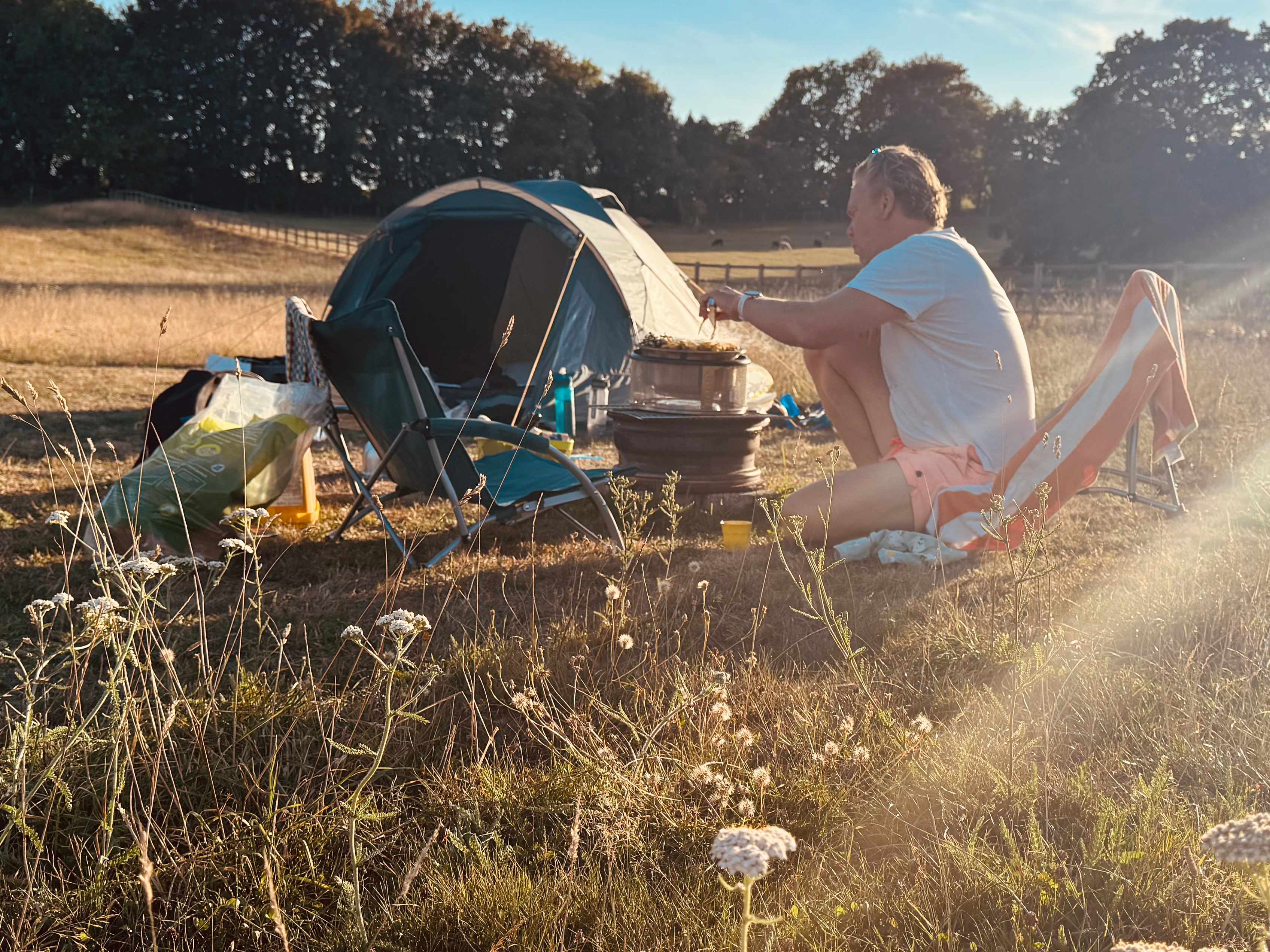 Lordington Park Camping