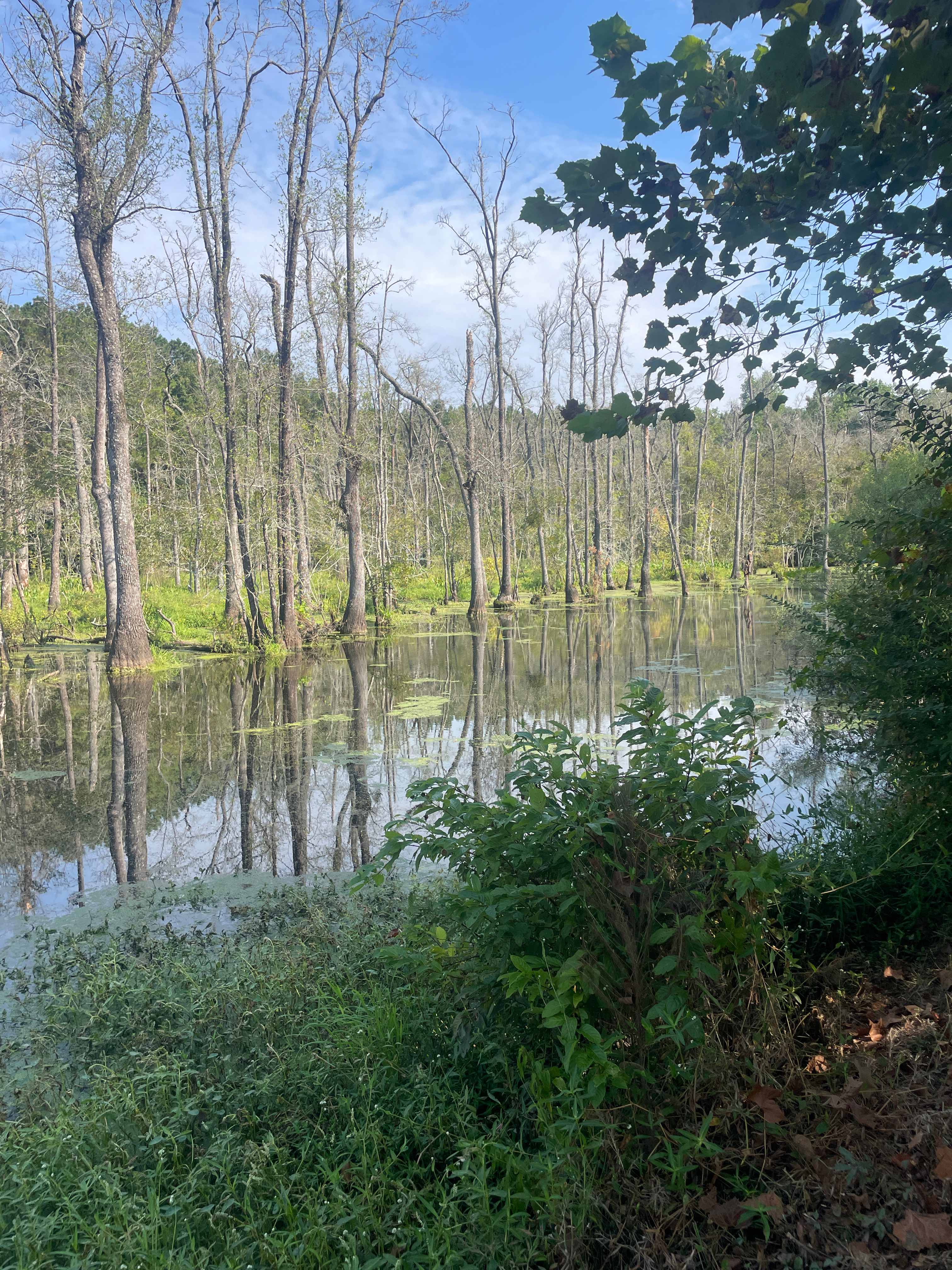 JCO Campground at Lee Baysden Pond