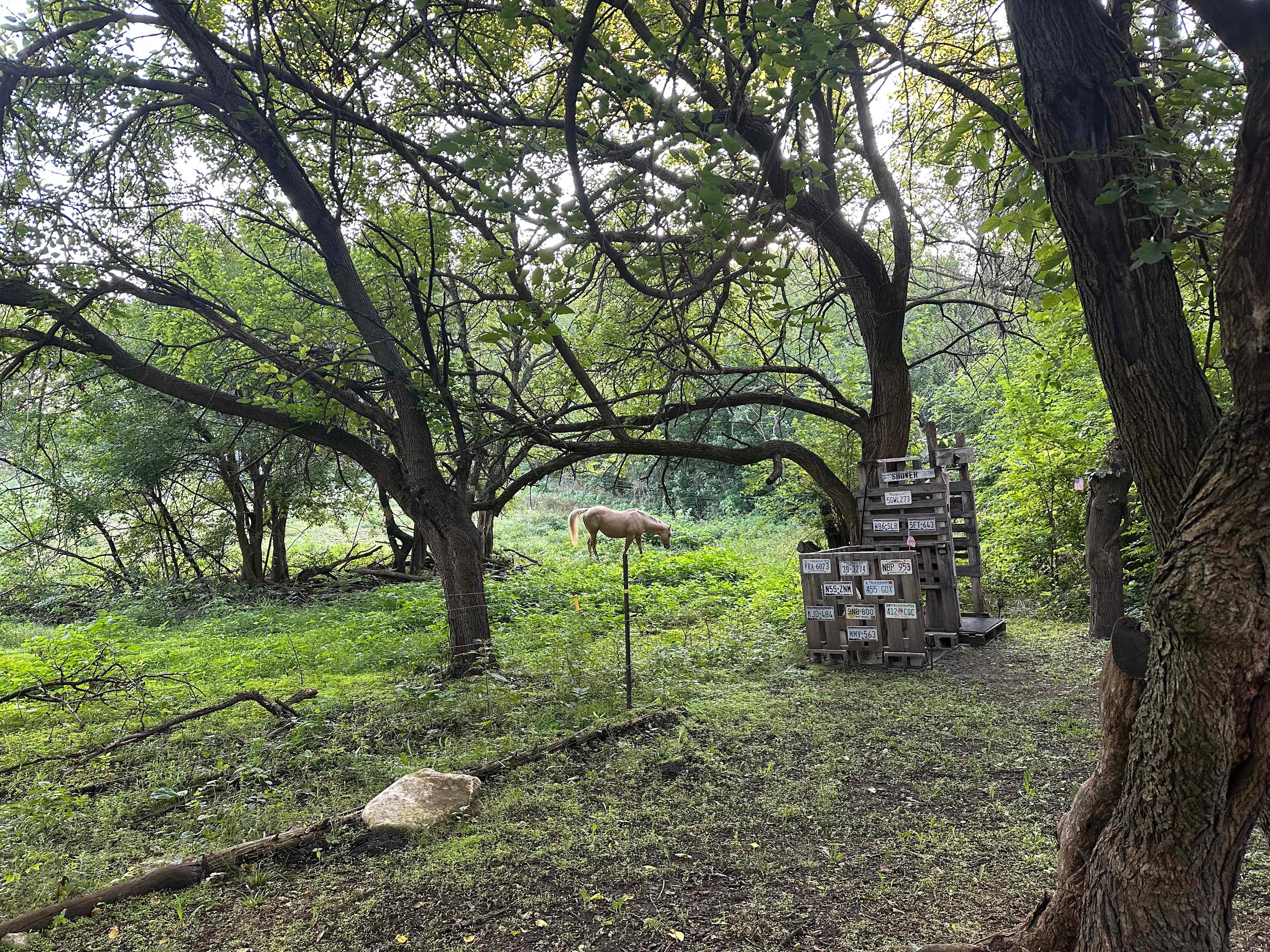 Glamping the Flint Hills