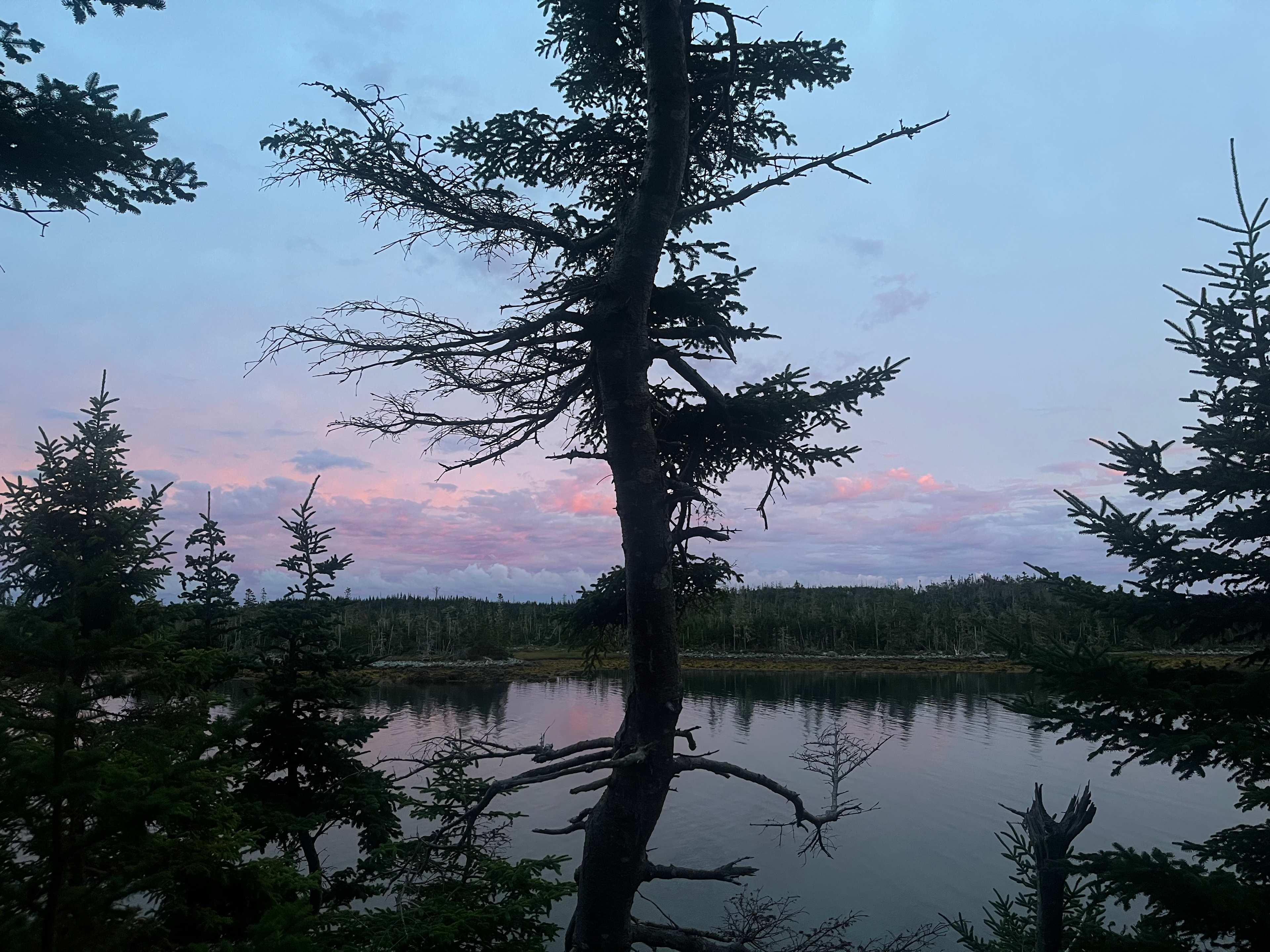 Murphy's Camping on the Ocean