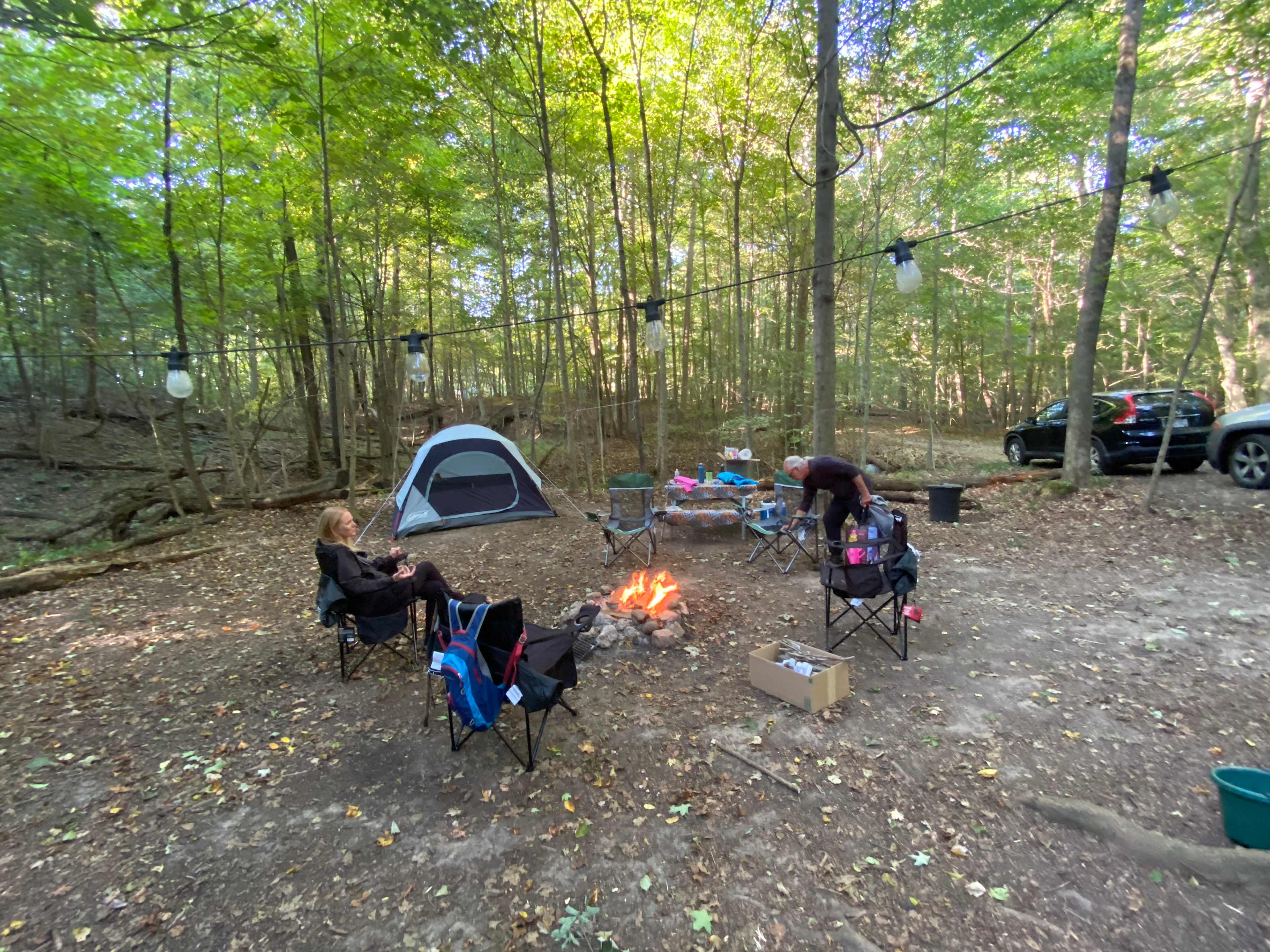 Away From The World Farm