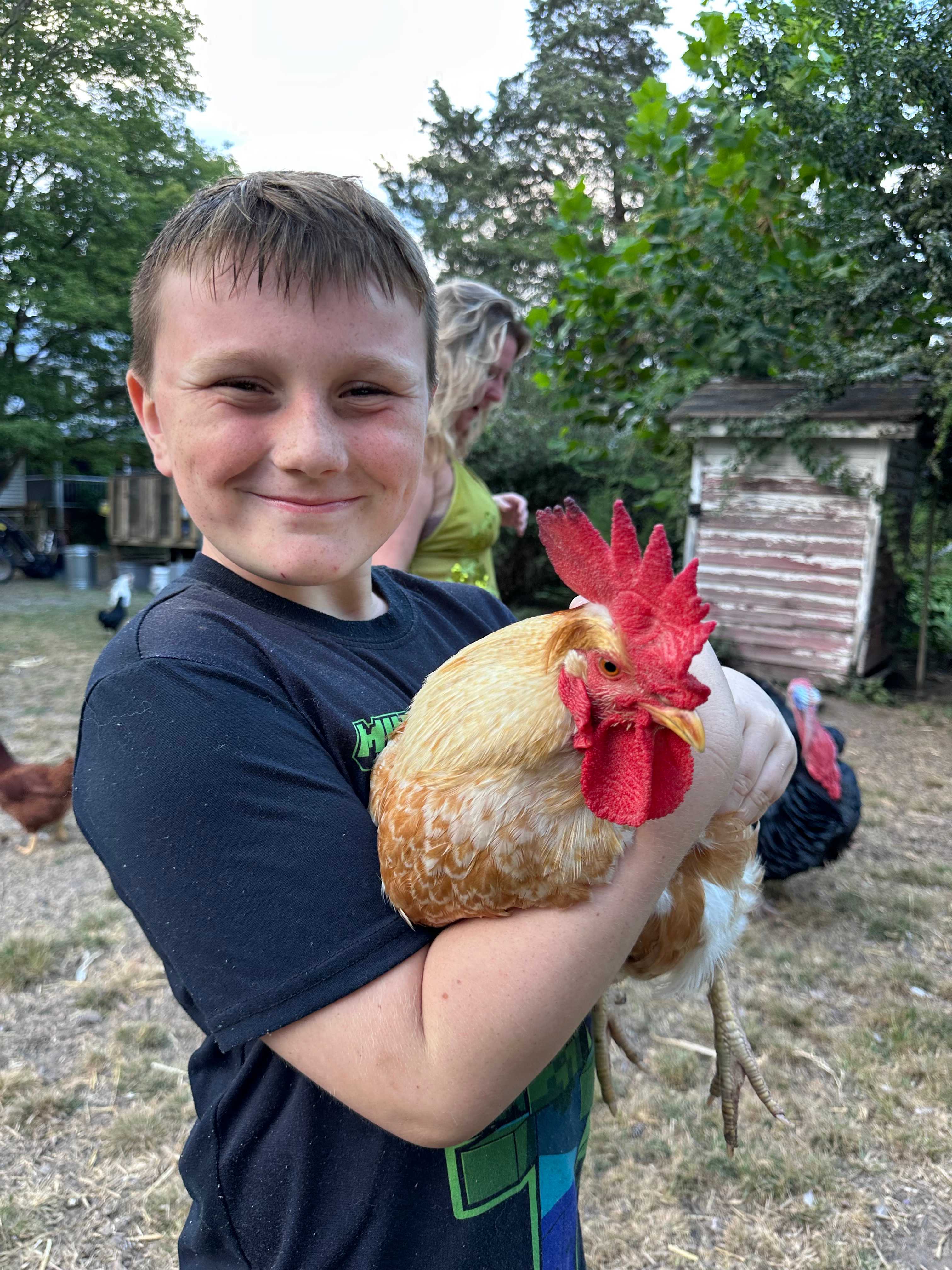 The Guinea Farm, Field, and Forest