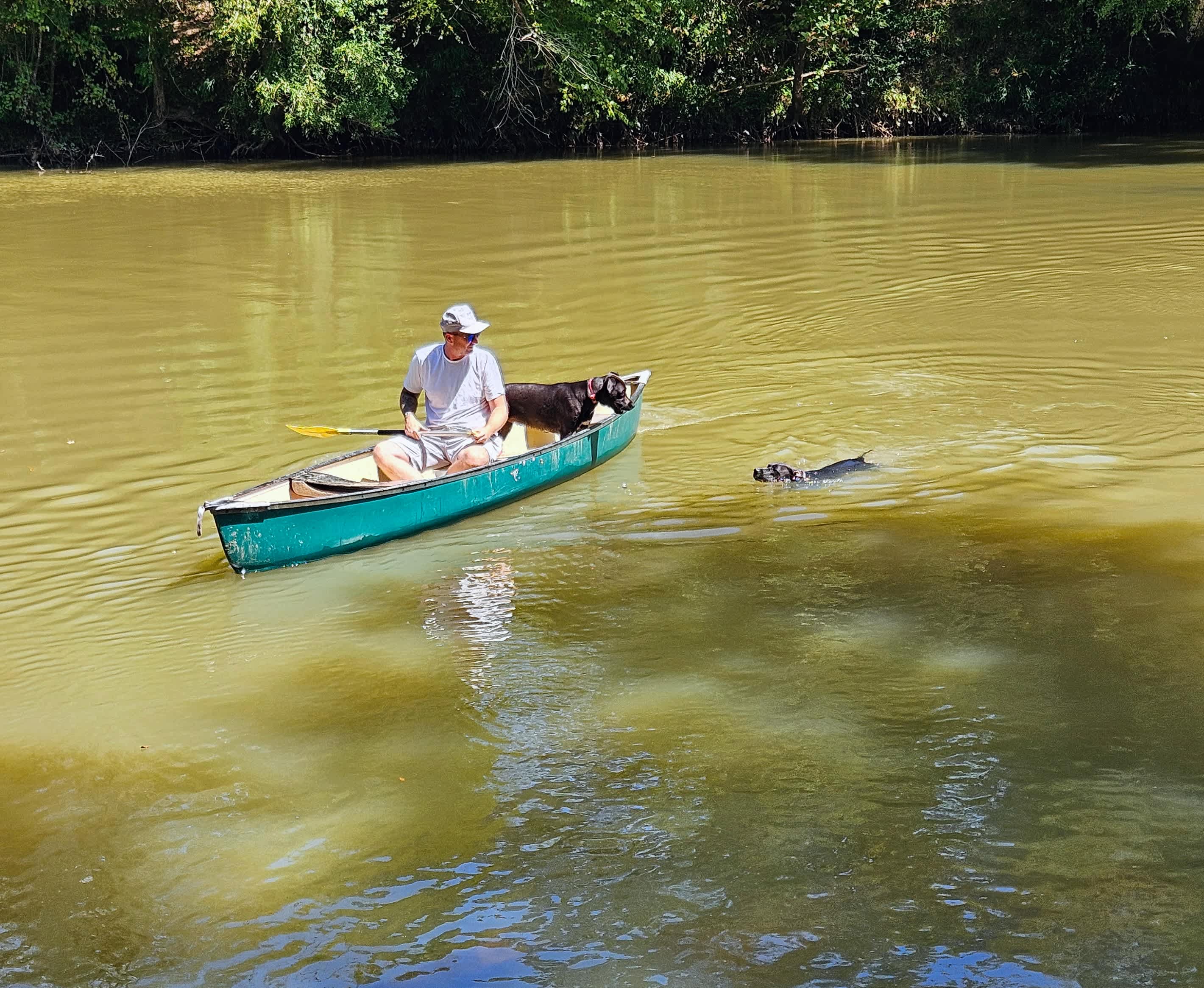 Serenity on the Saluda