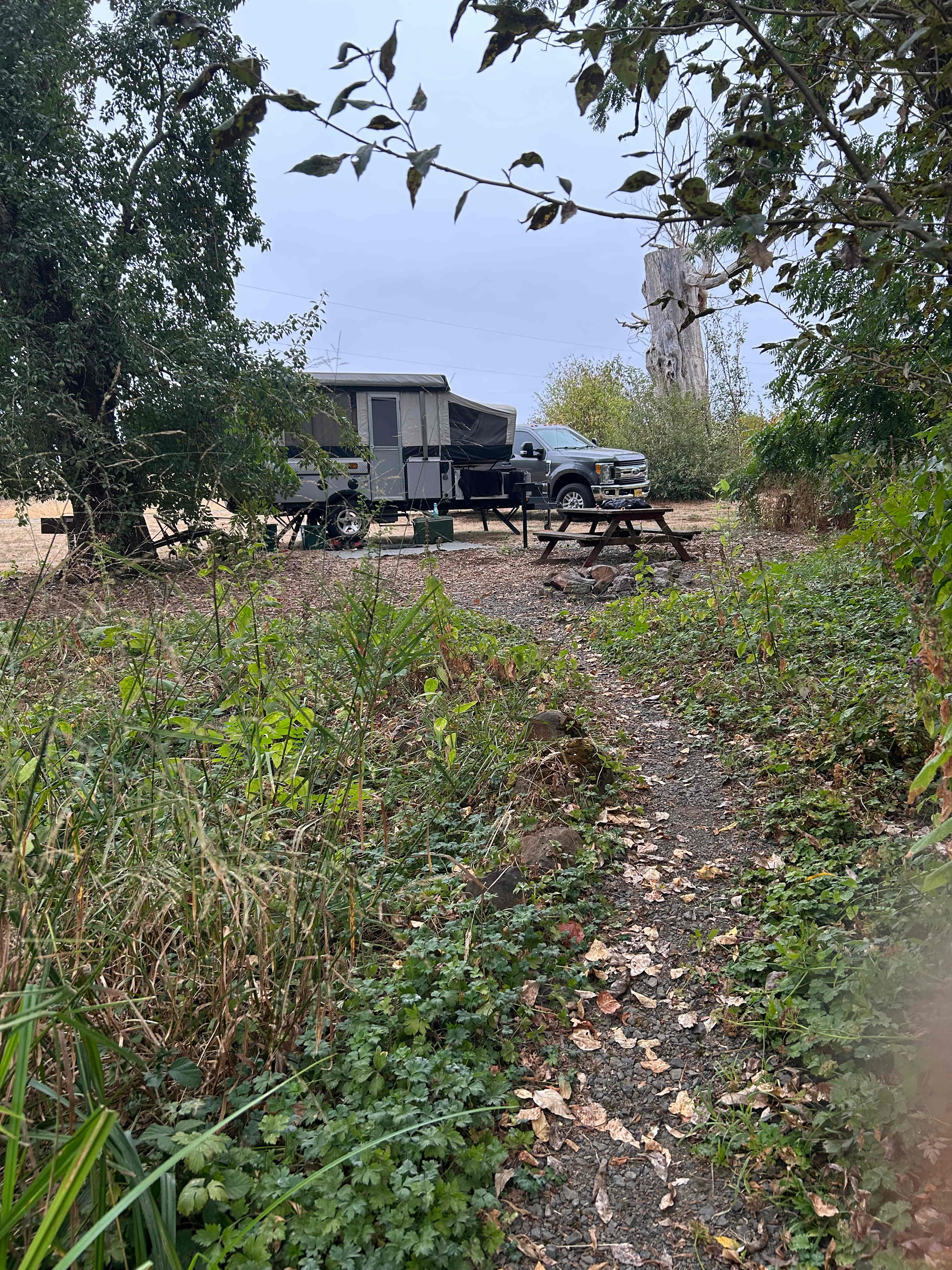 Heritage Grove from the creek bridge