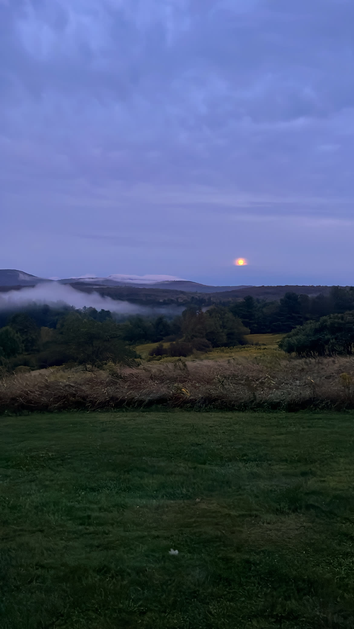 Harold's View Farm