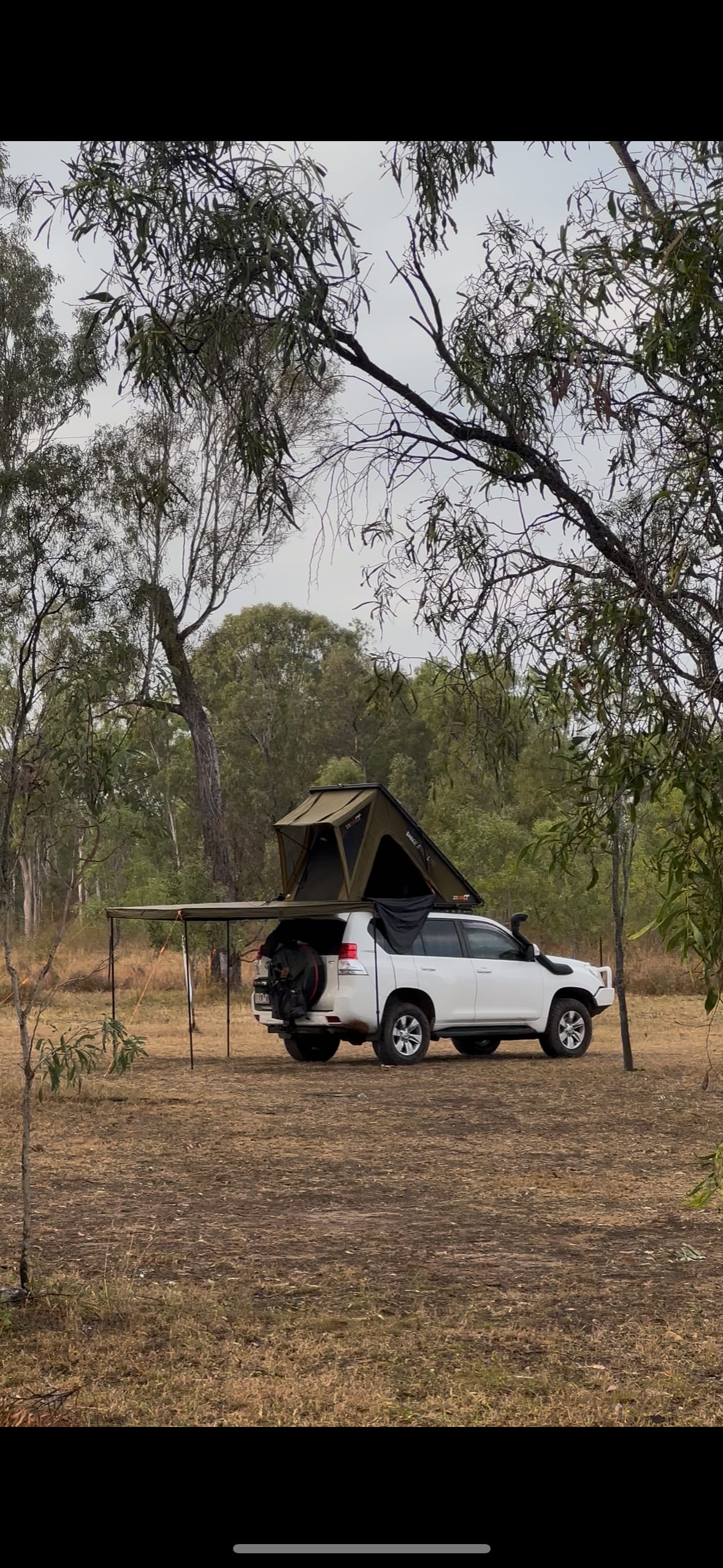 Caravans and RV’s scattered amongst a paddock with a few trees for cover and open areas for solar.