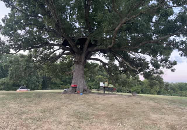 Selby Farm Horse Retirement