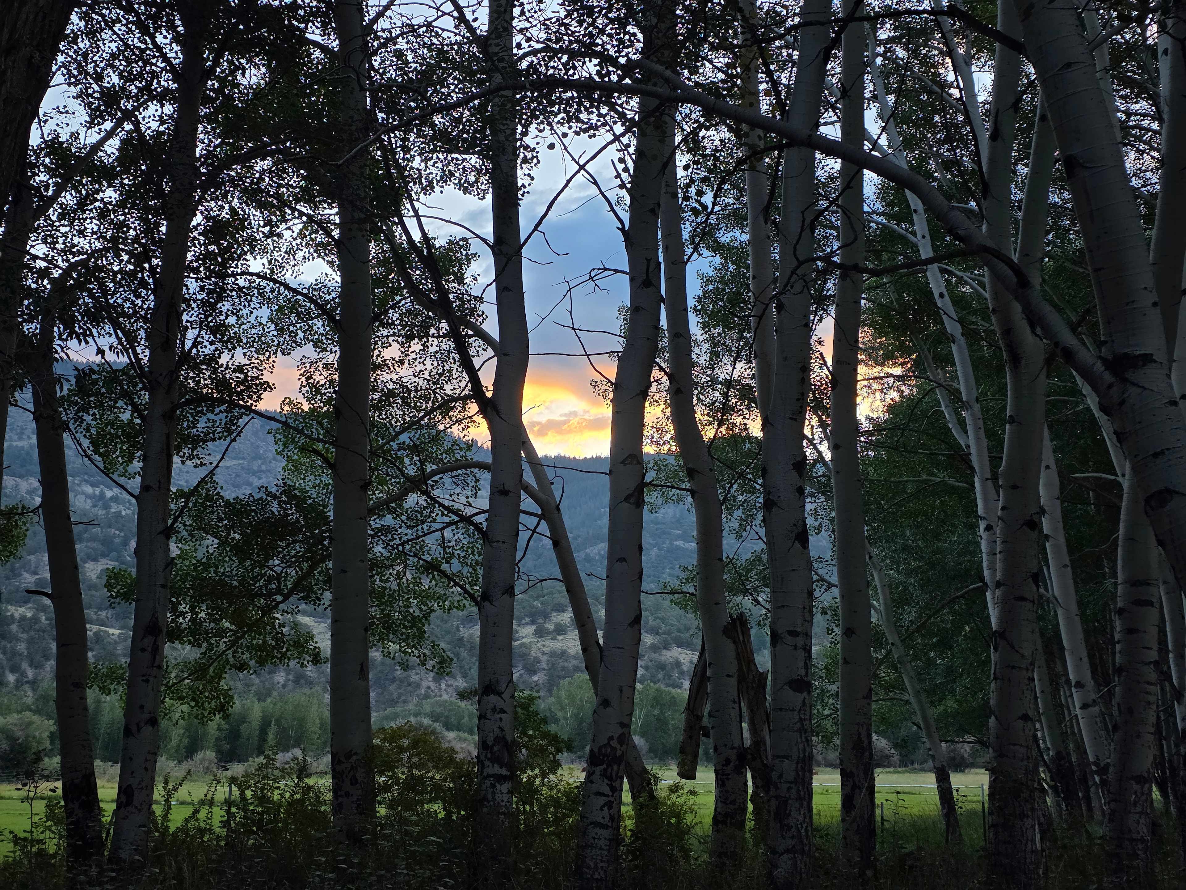 Frenchman's Creek Ranch