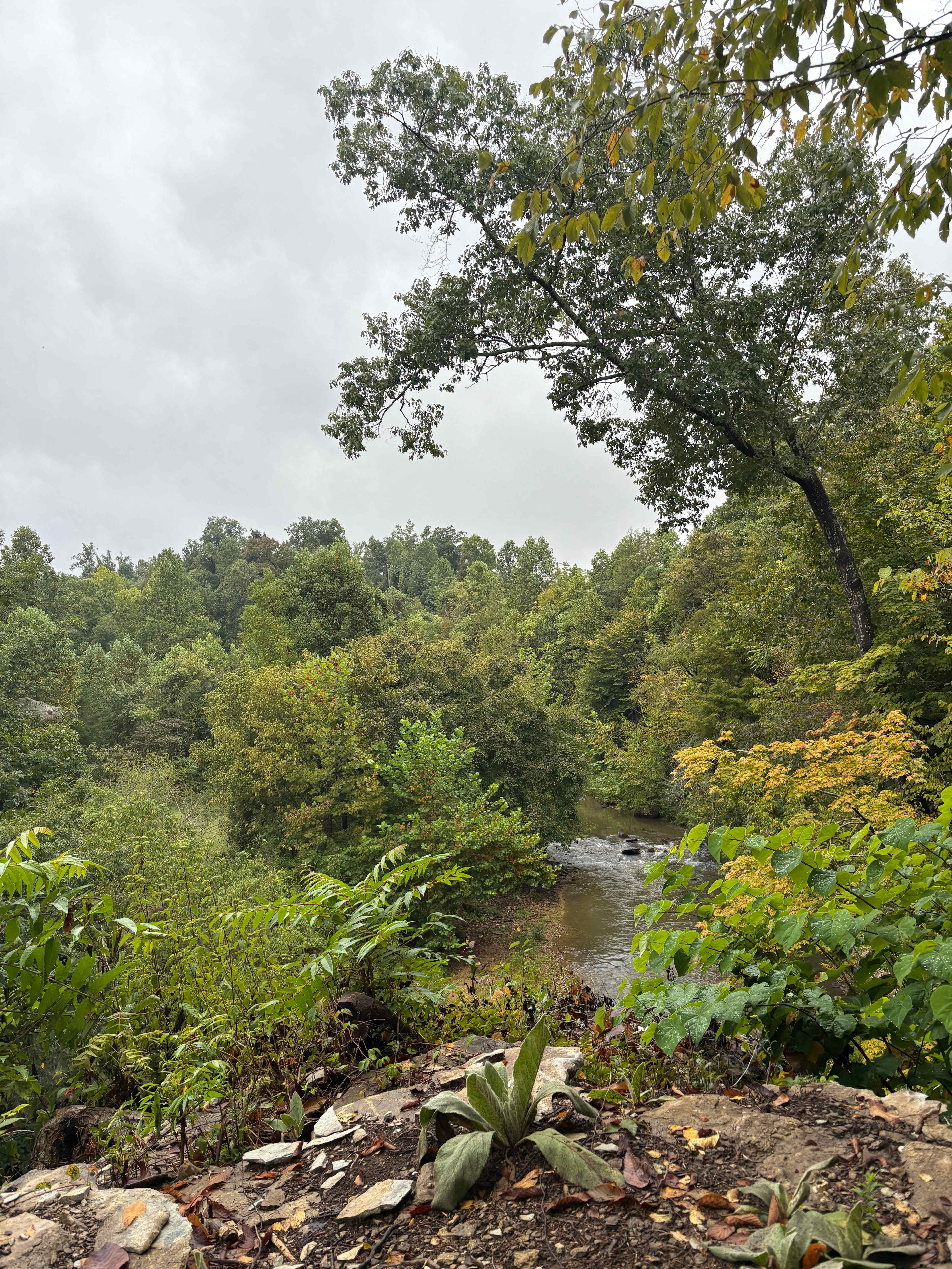 Cascades at Waterloo