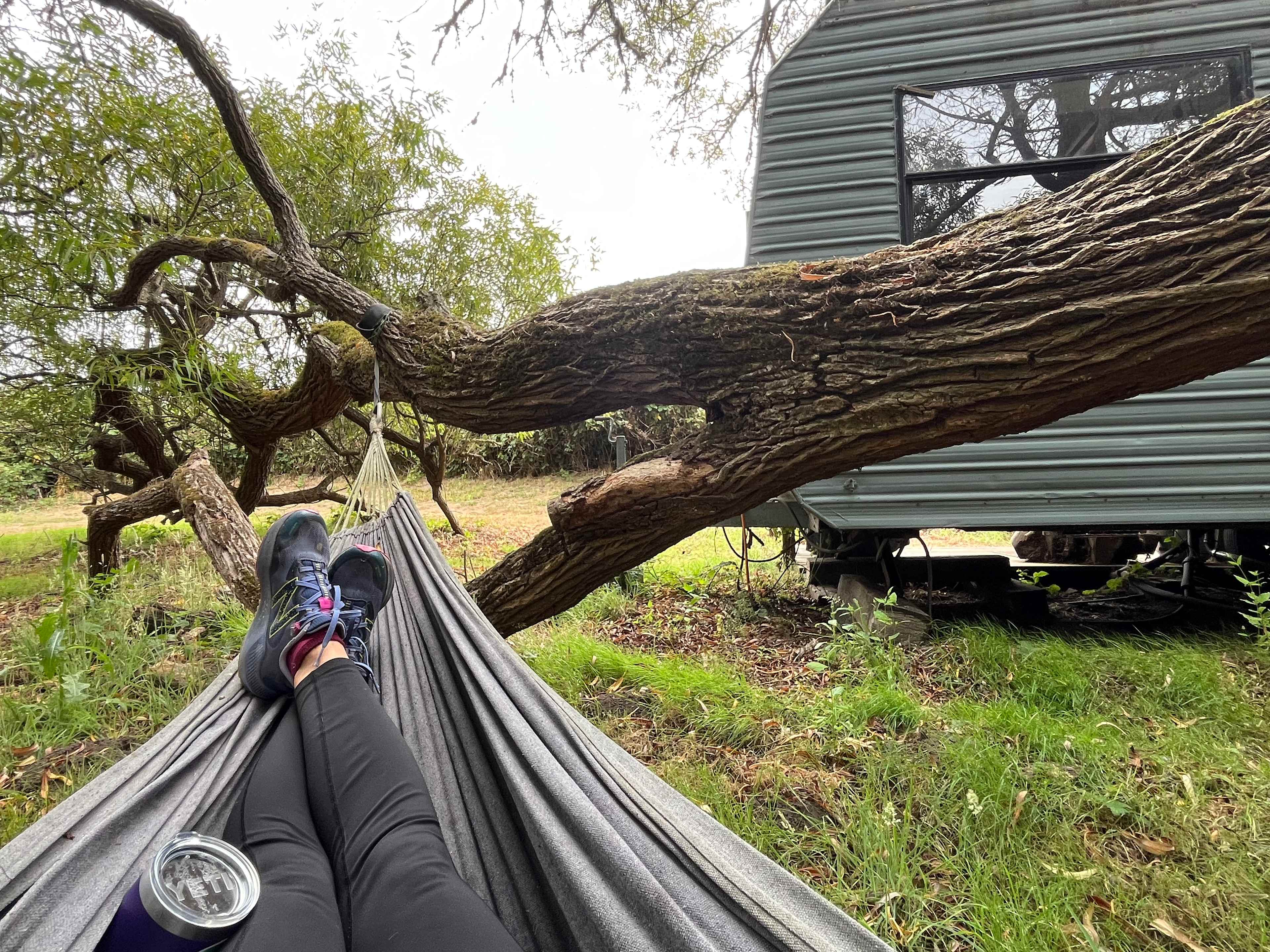 Estero San Antonio Wonderland