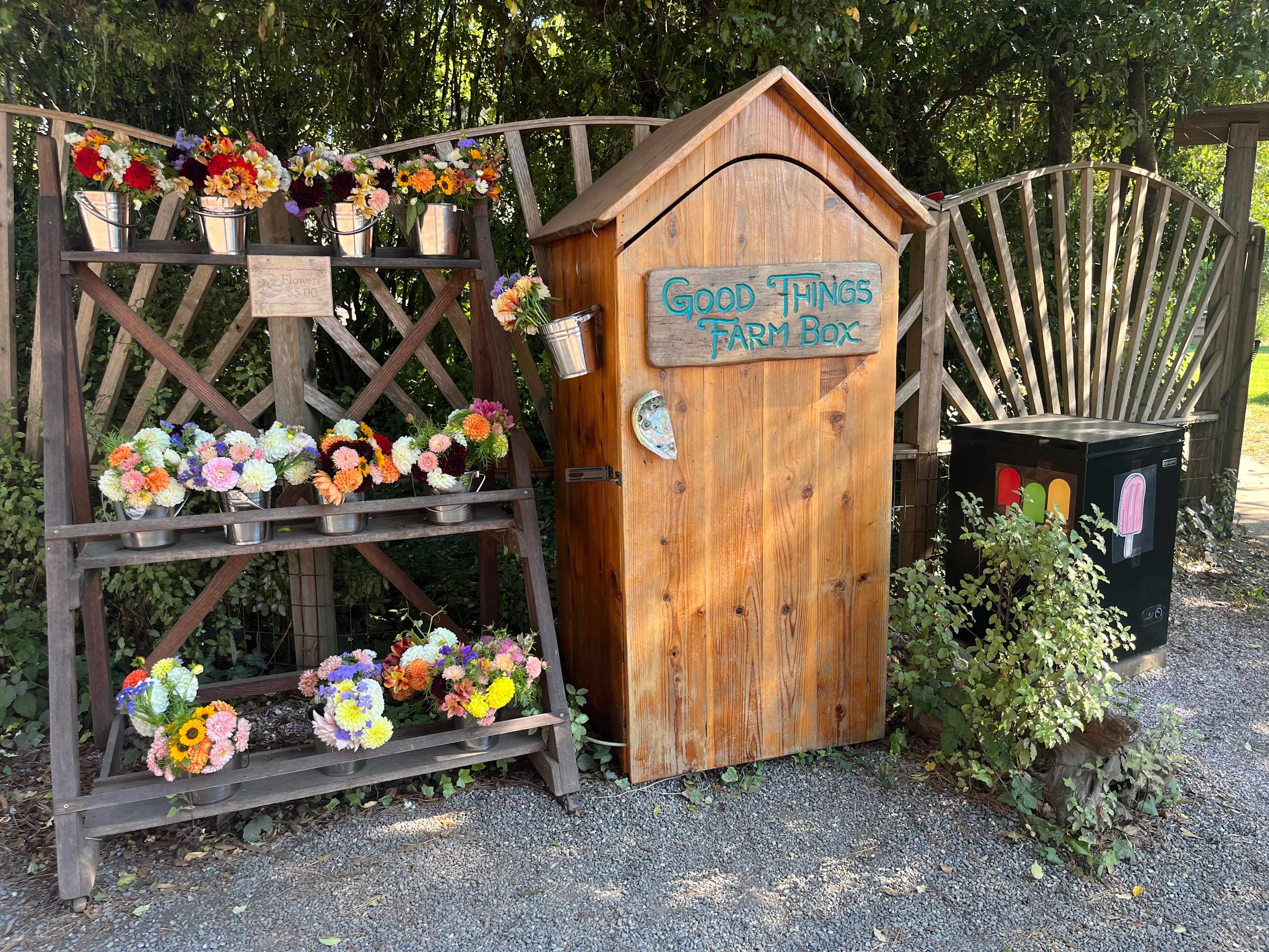 Good Things Farm Yurt, flower farm