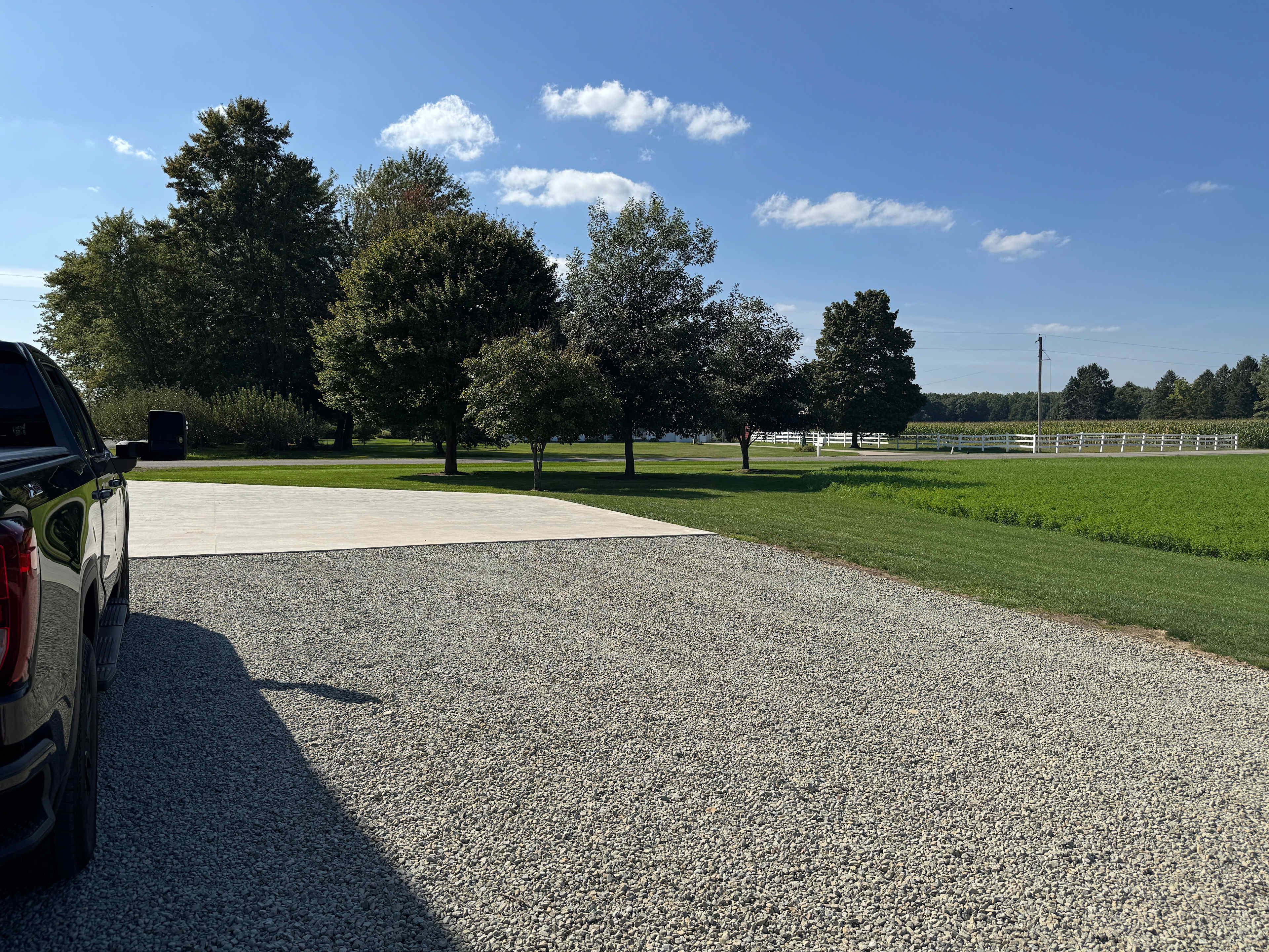 Nice yard for our pups!