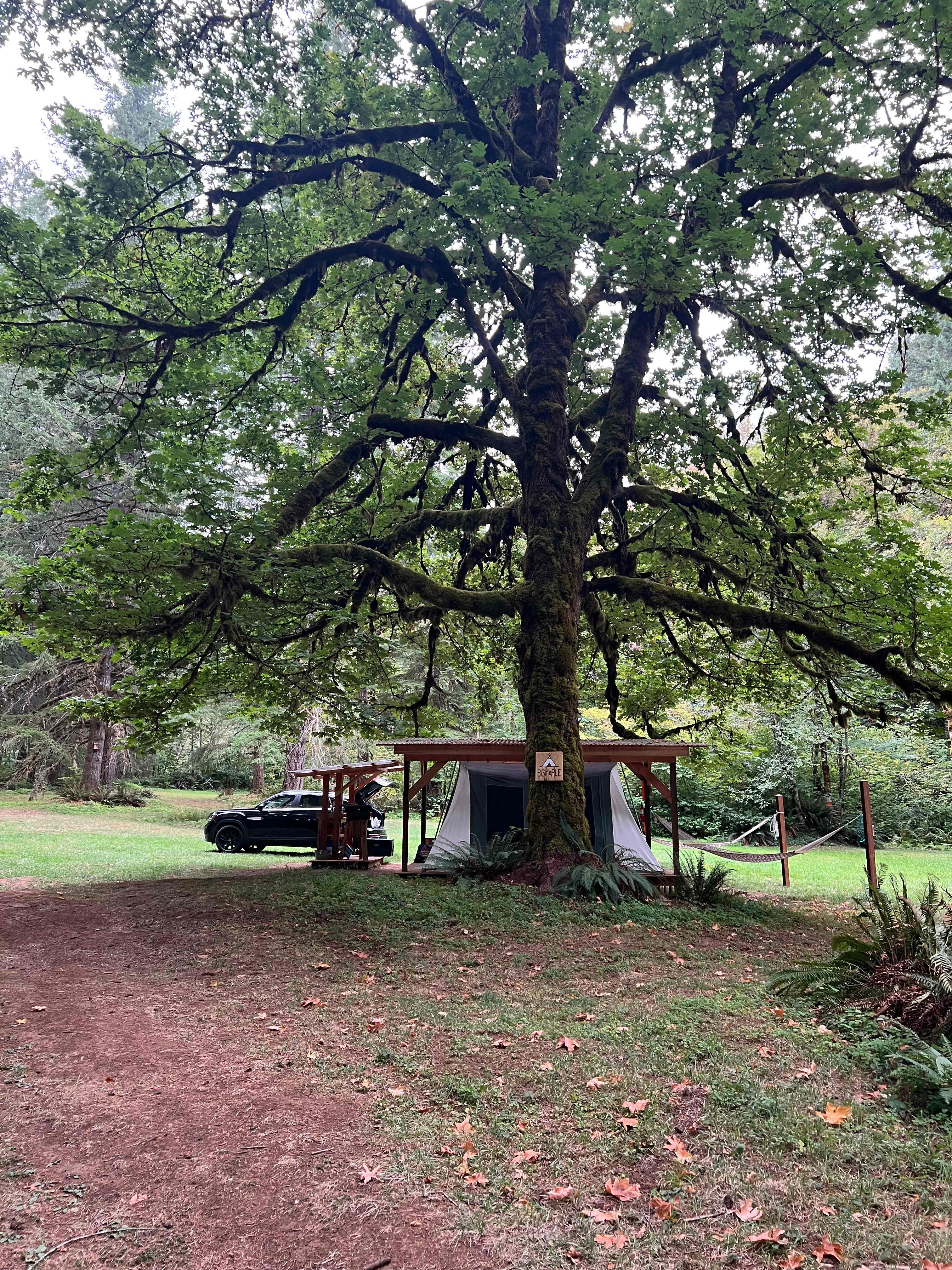 Shelter at Castle Rock Farm