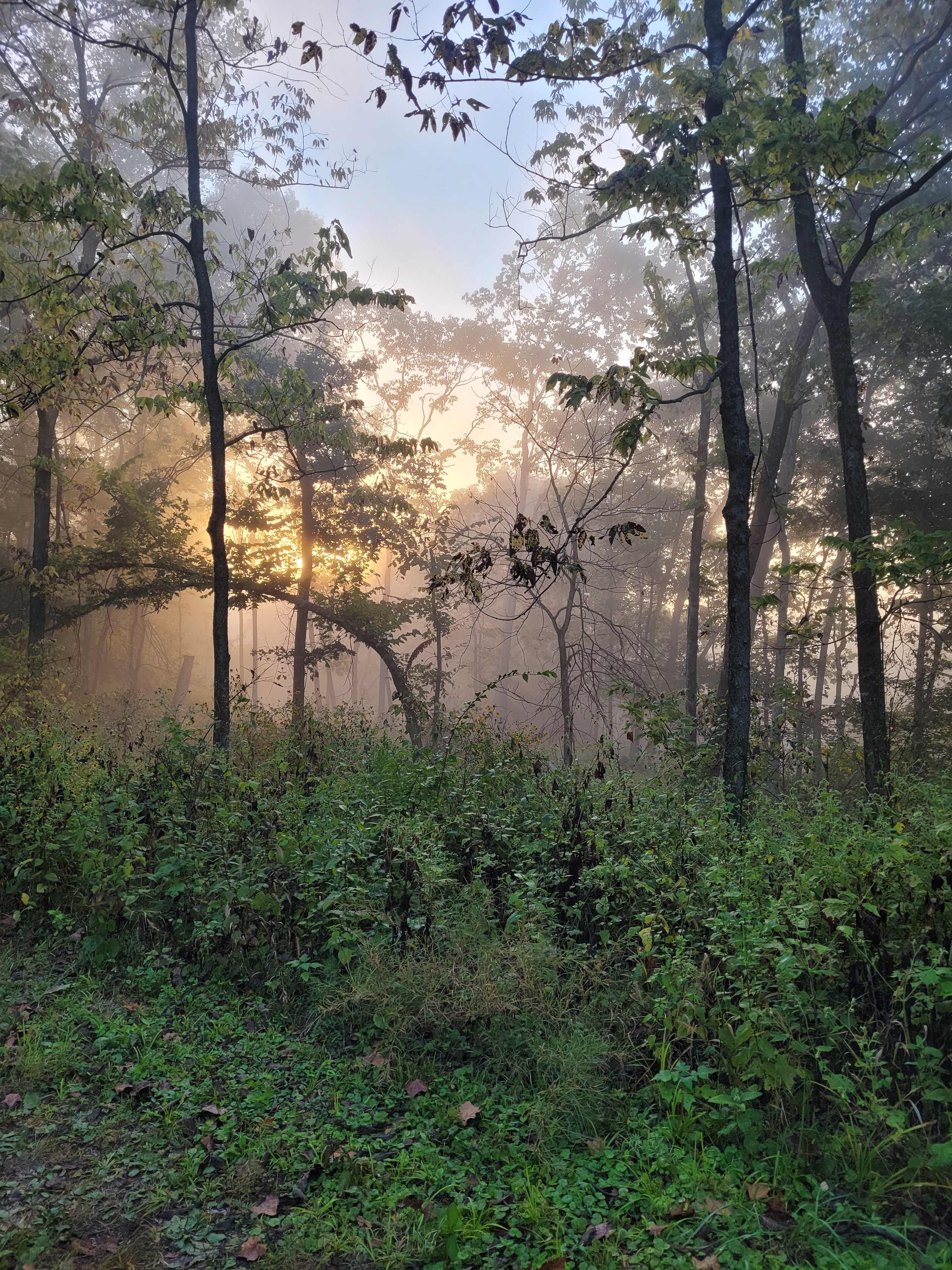 Celtic Glen Farm Stay