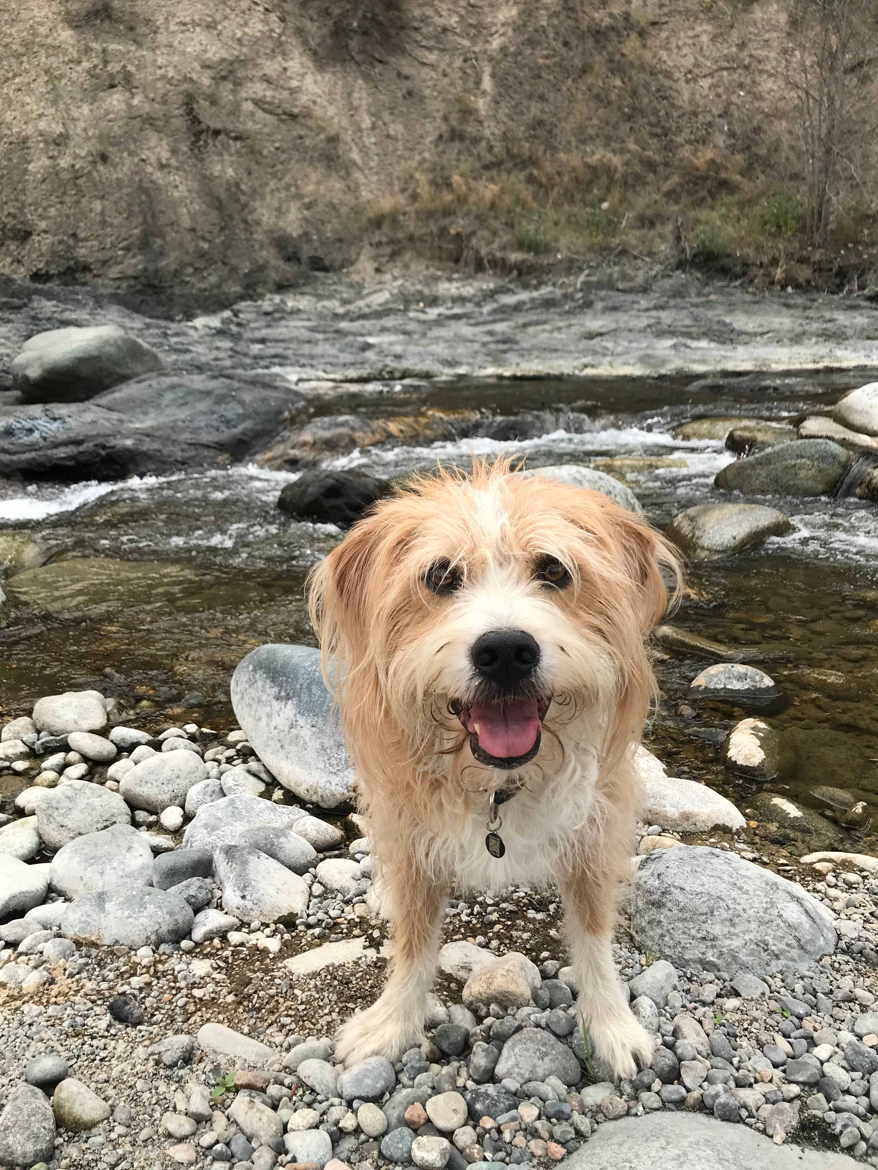 Firkin Riverside Camp Retreat