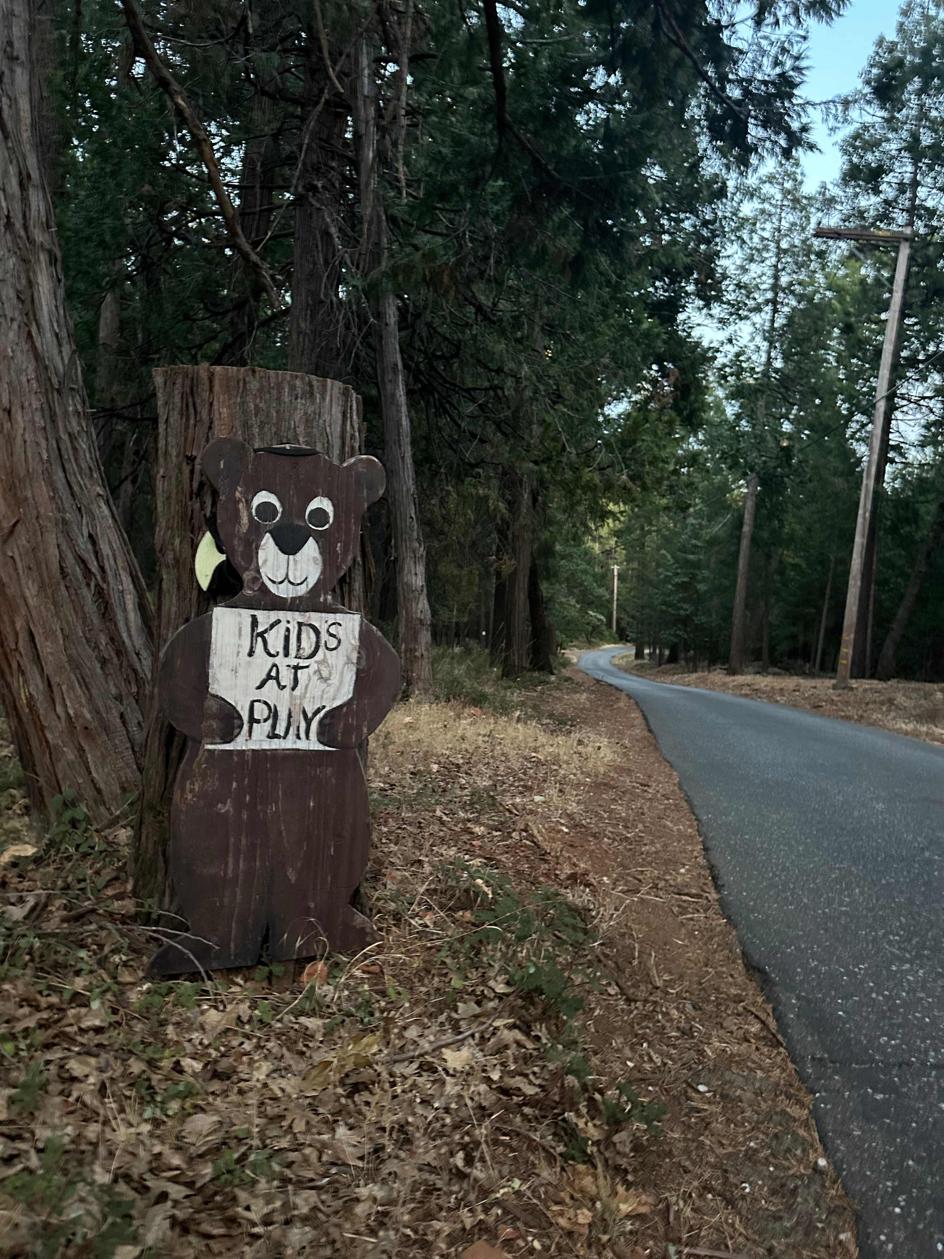 Starry Hot Tub/Cold Plunge Glamping