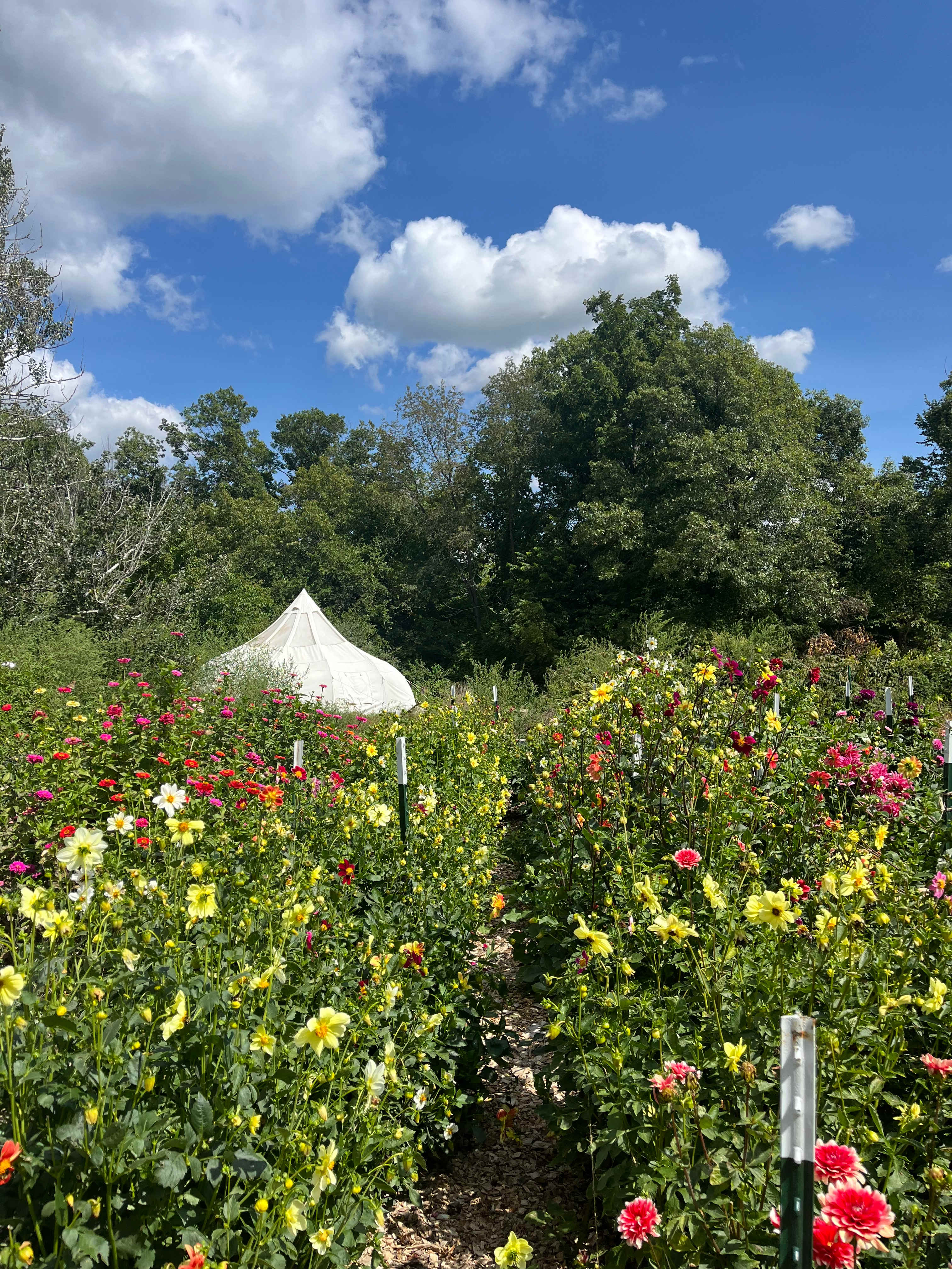Yurt Glamping Tents + Farm Animals