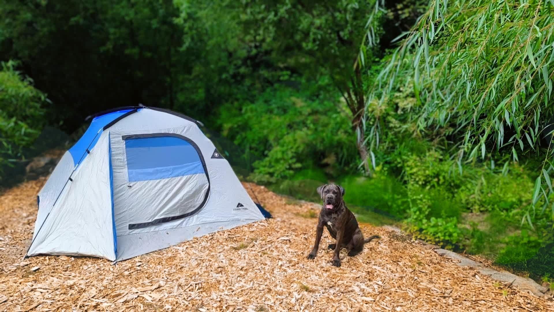 Marble Creek Retreat