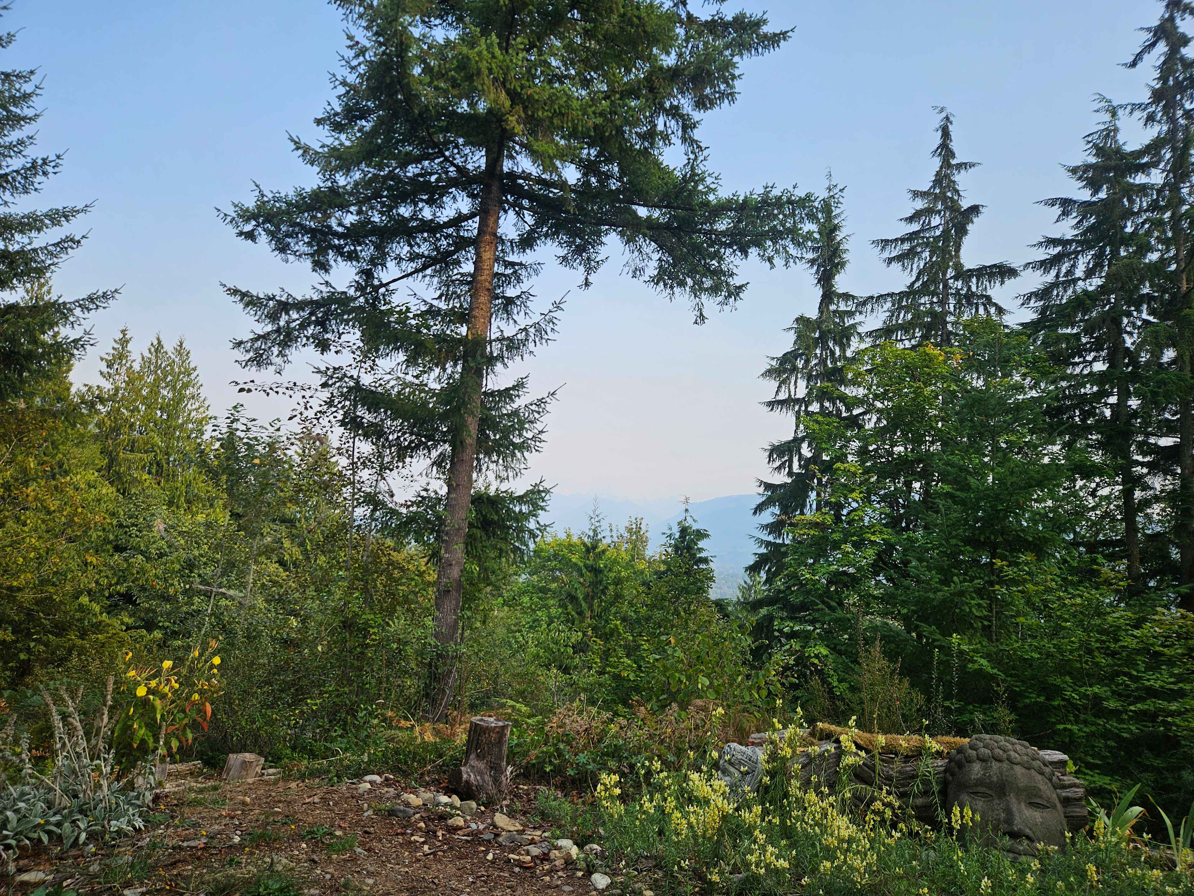 Clear Light Valley Retreat