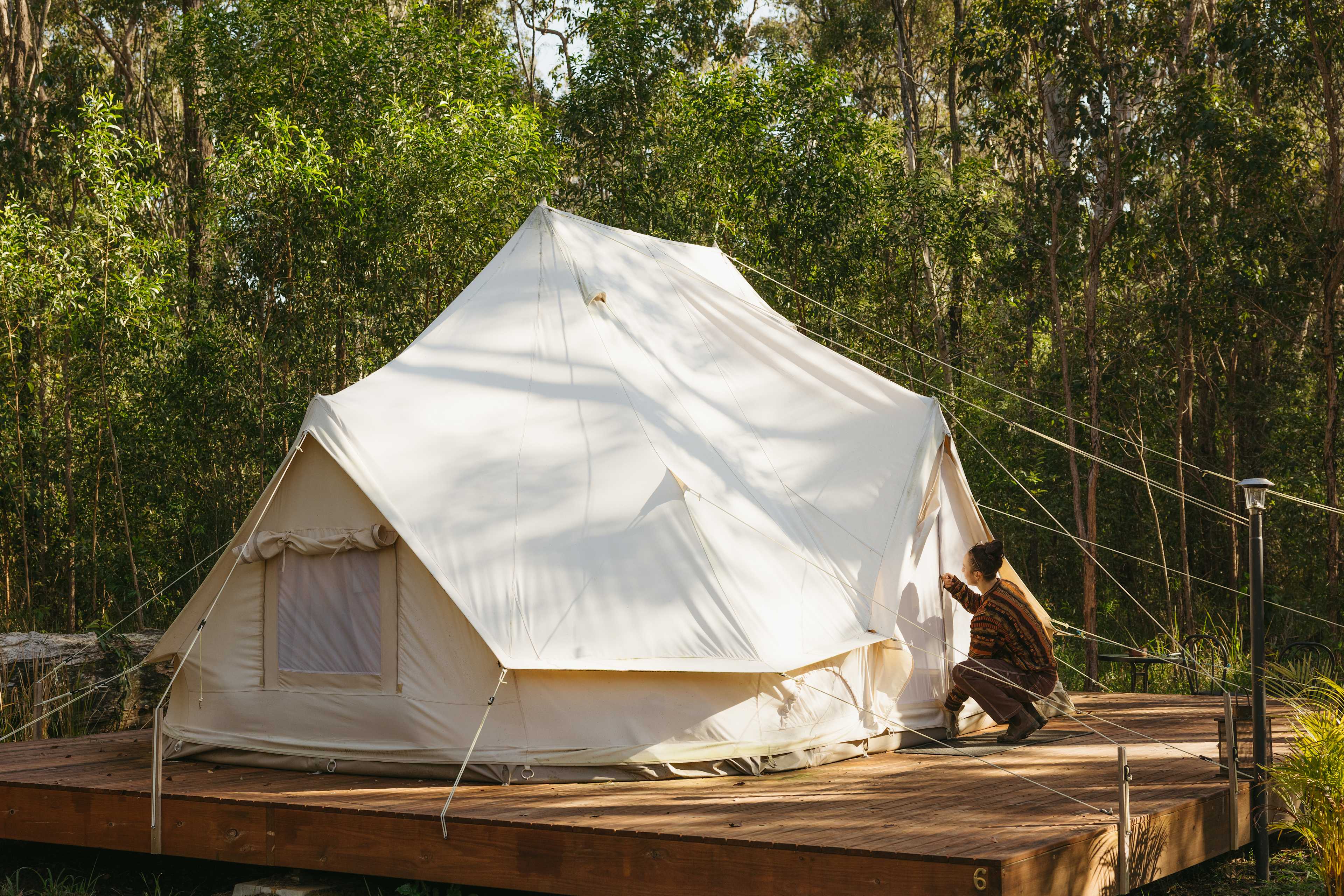 Large Forest Glamping Site
