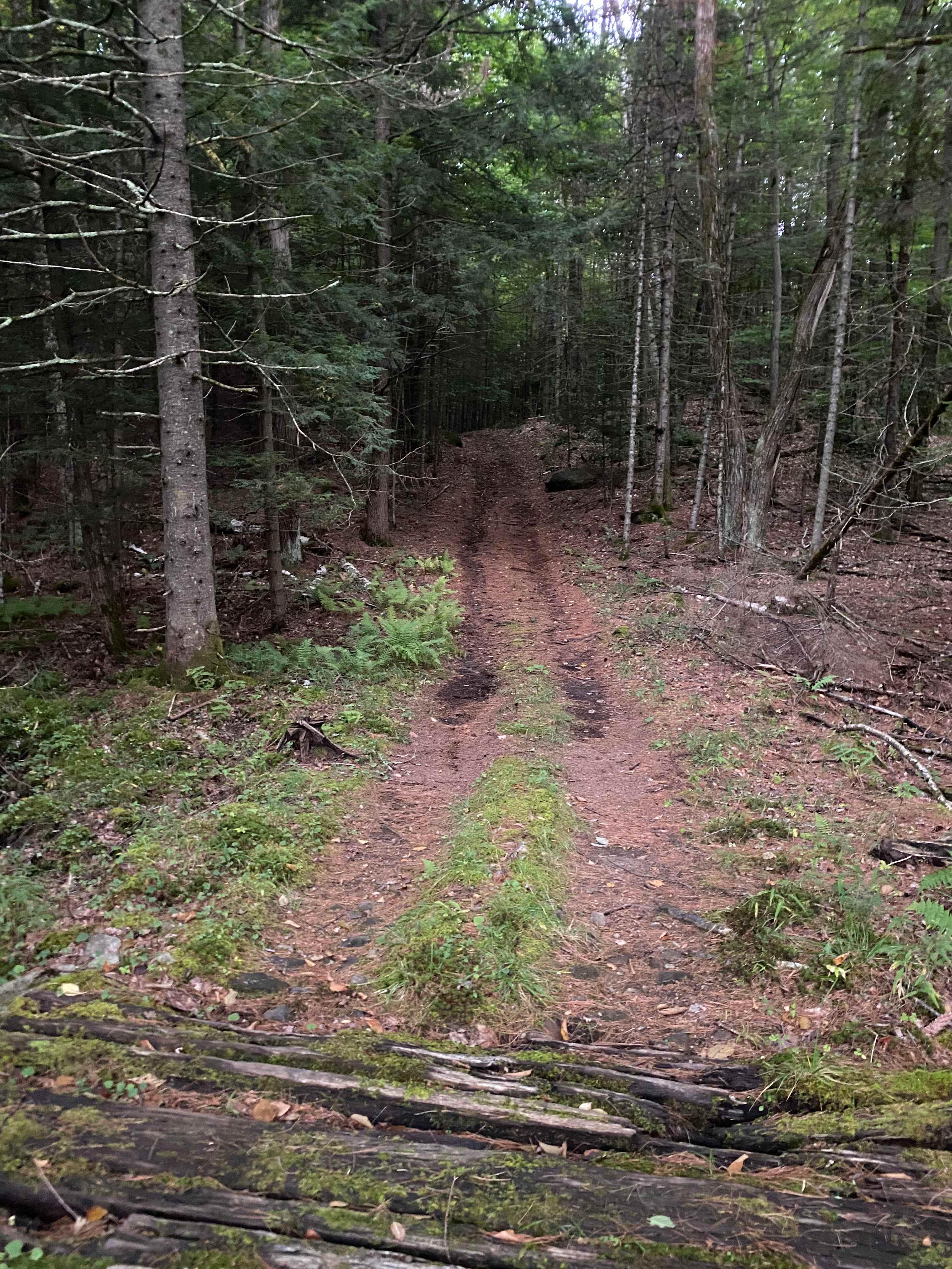 Beginning of trail behind the house
