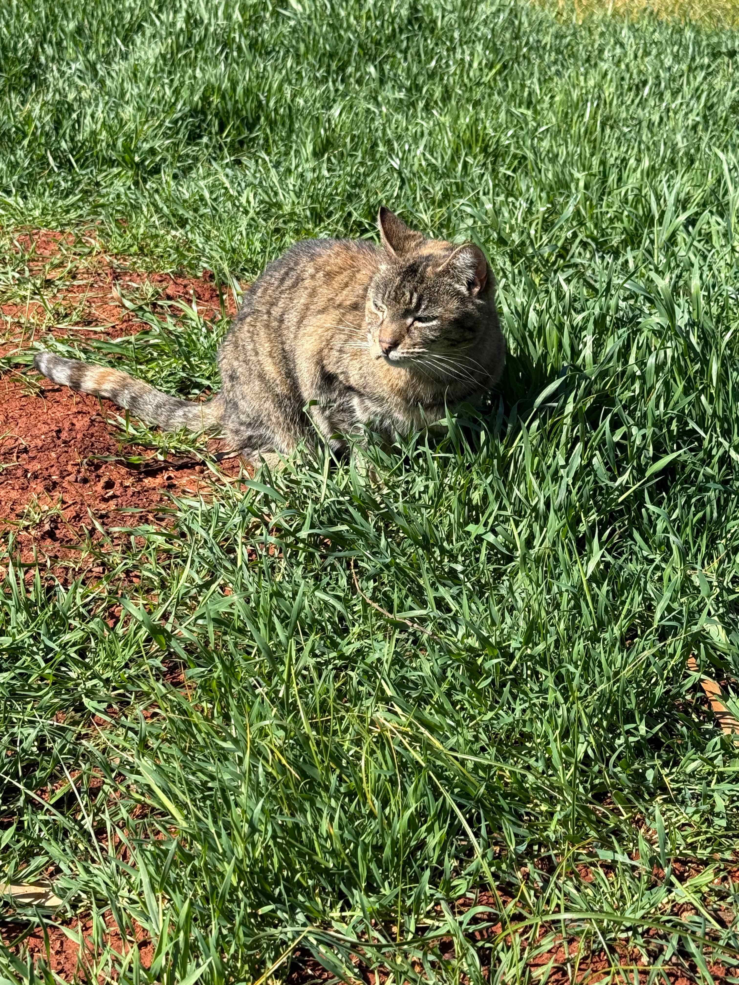 Cartapo Creek - Farm Stay