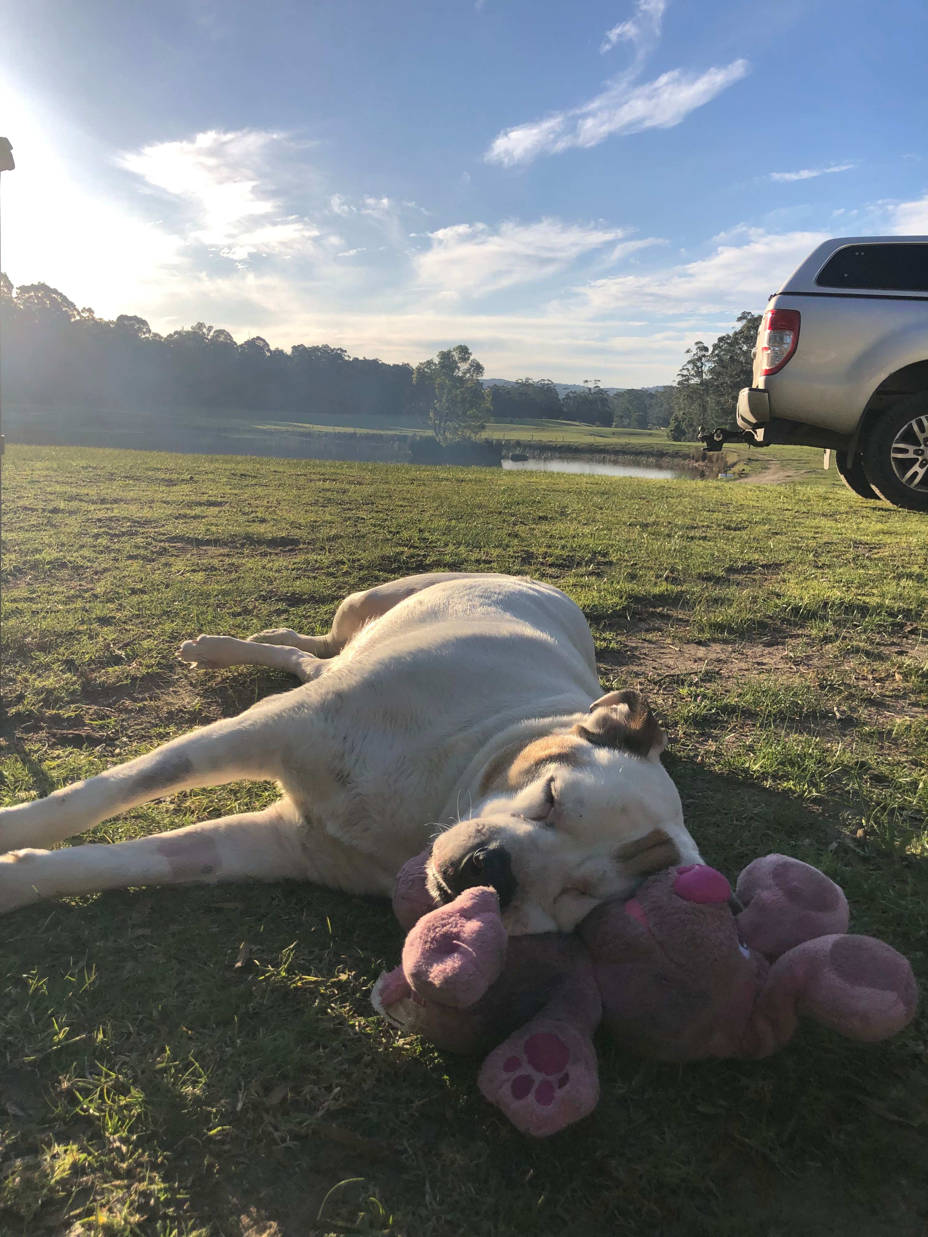 Bruthen Creek Pastoral Farmstay
