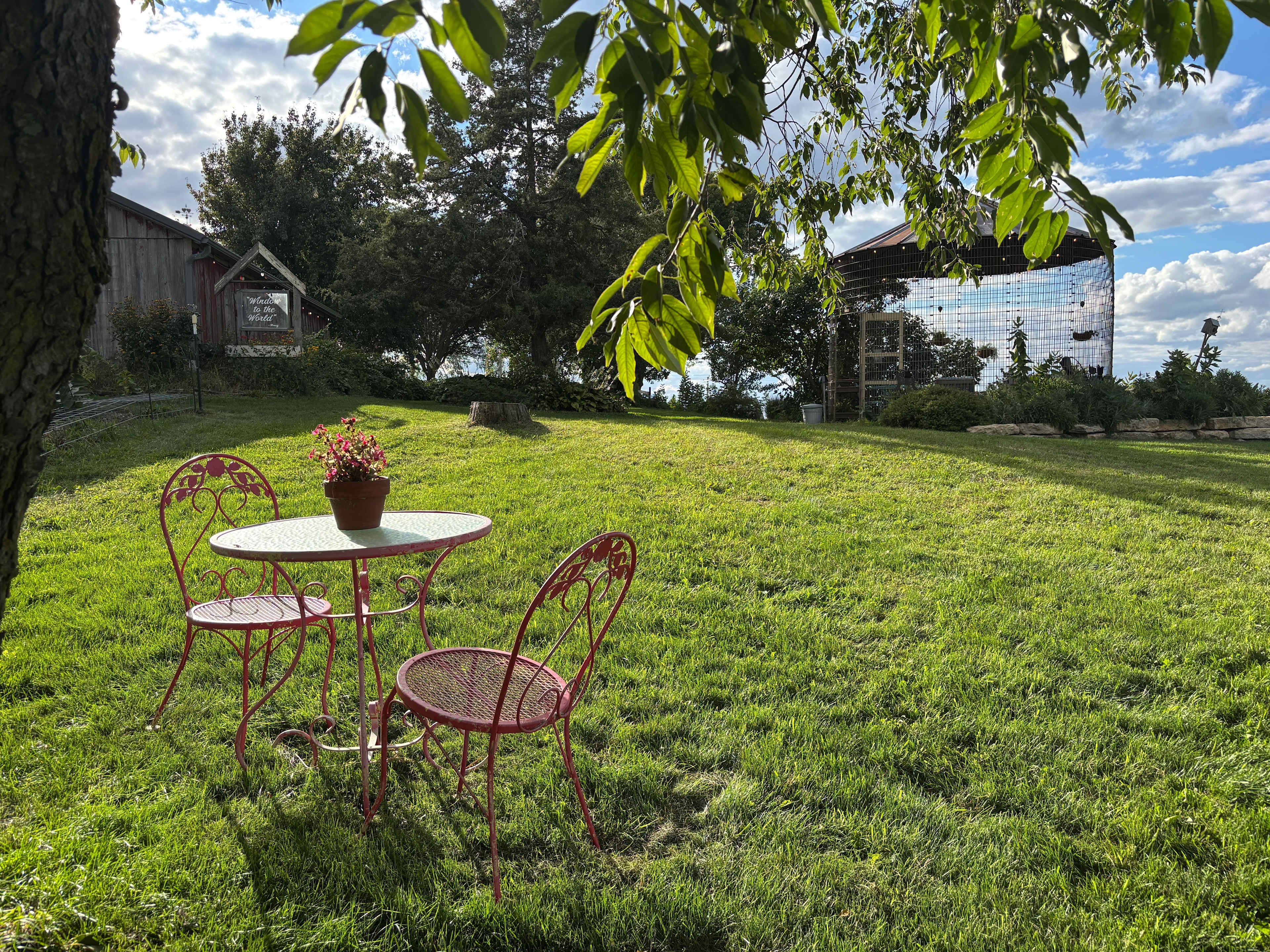 Miss Effie's Country Flowers