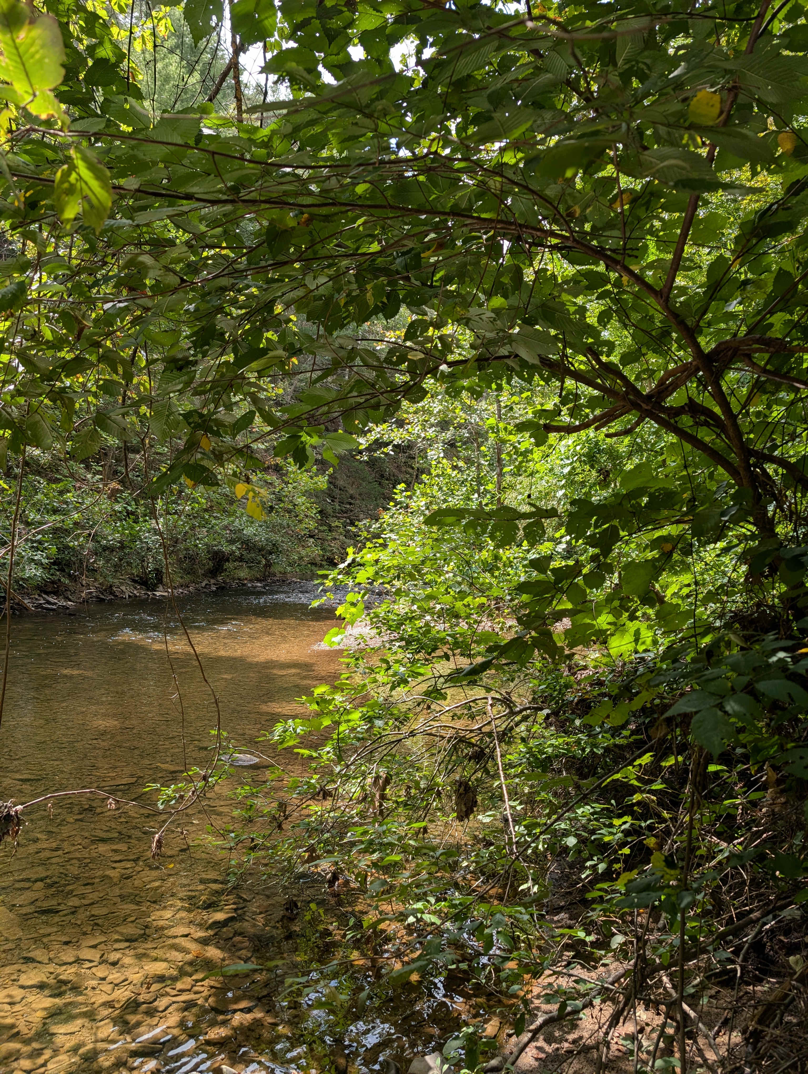 Creek
