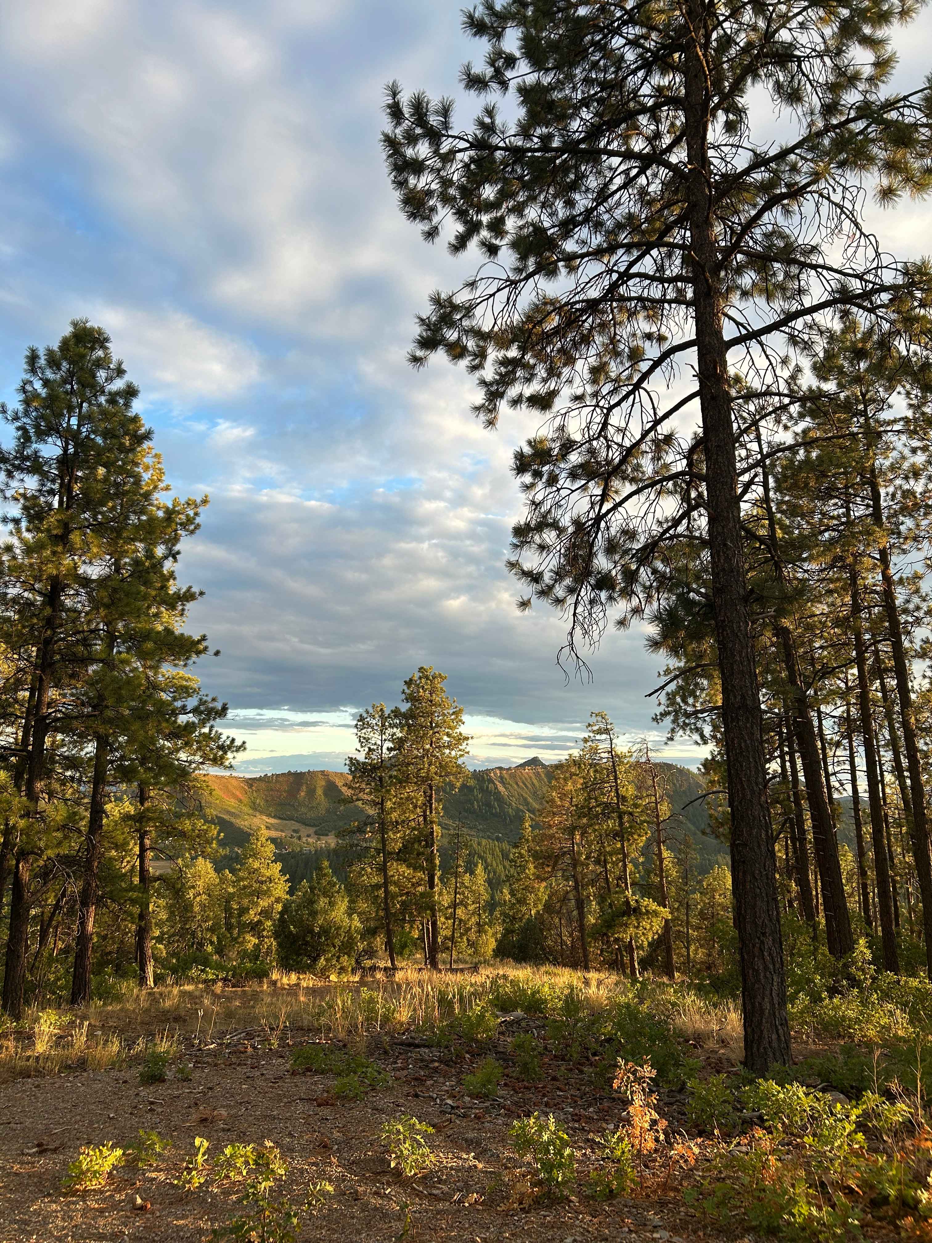 Just before sunset. Stunning.