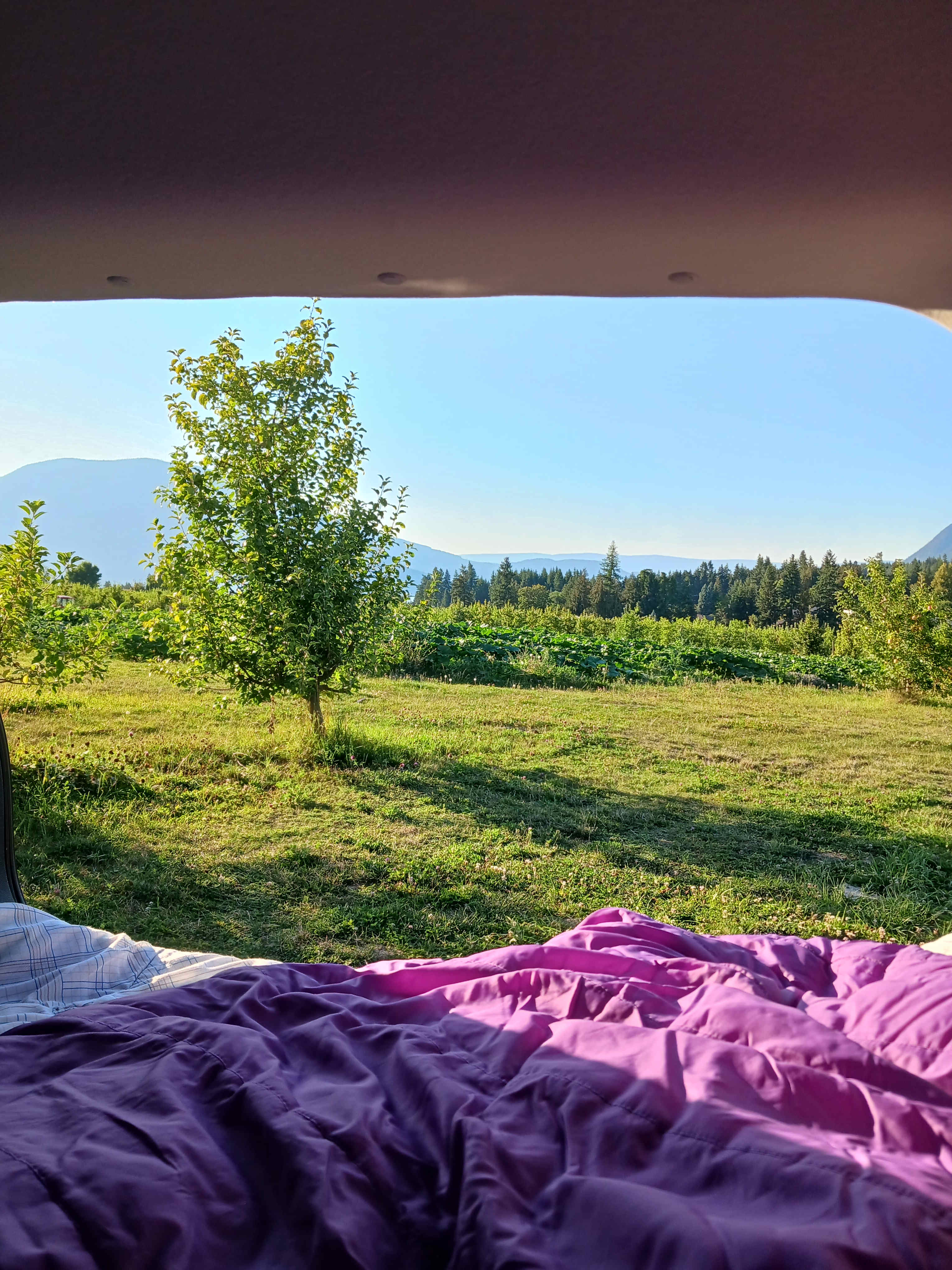 Northyards Cider Co.