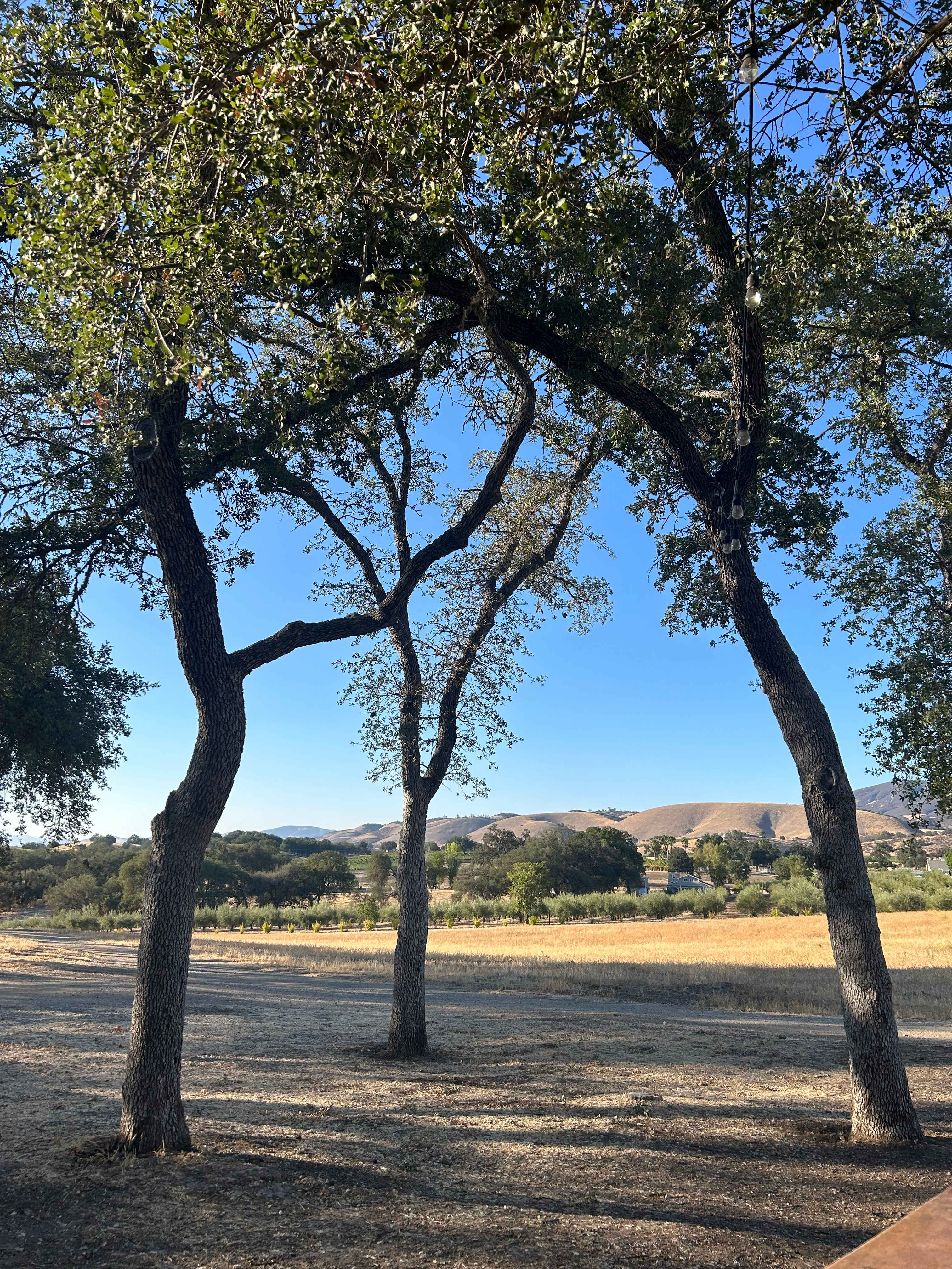 Road's End, Bradley Lockwood