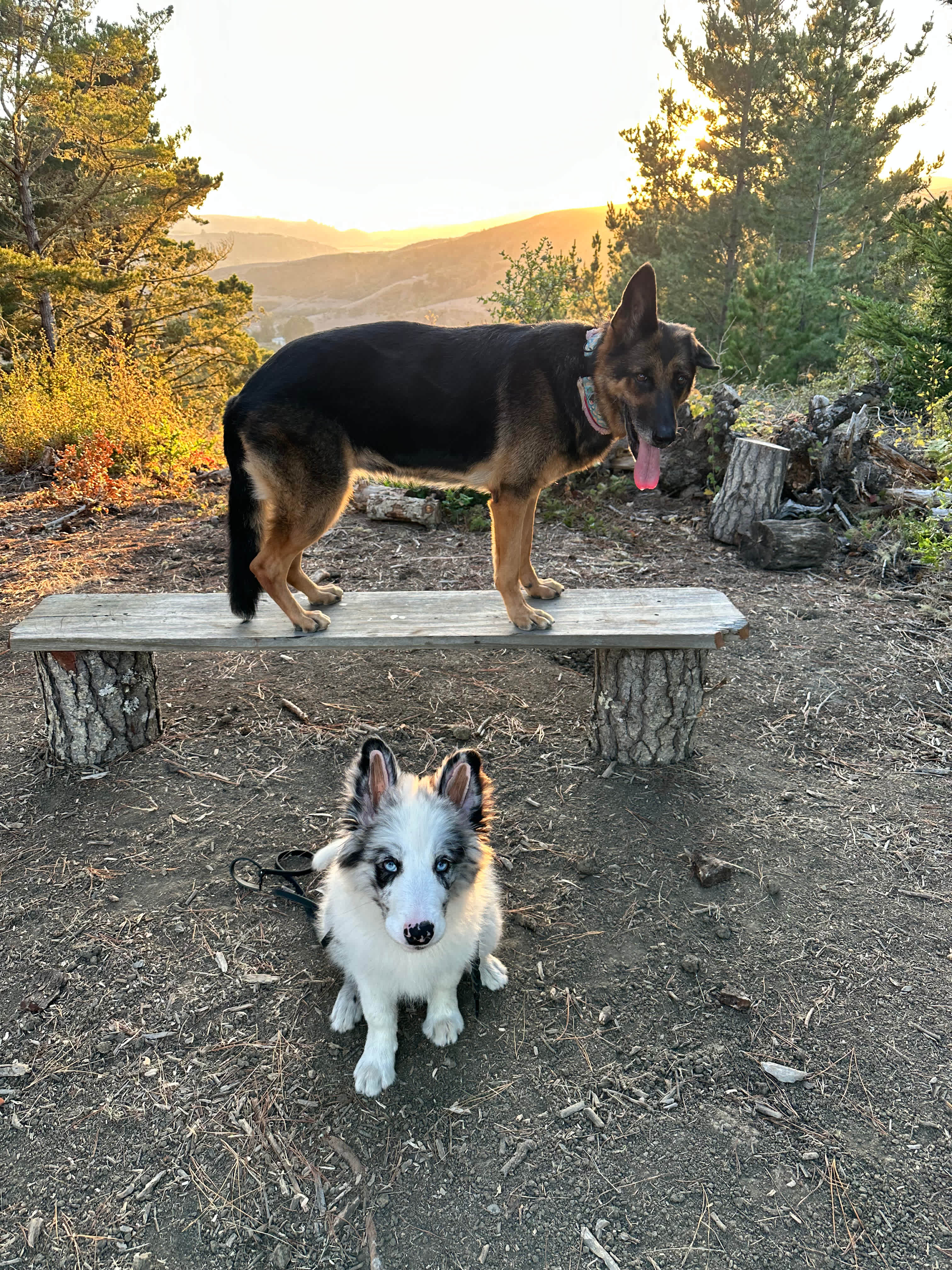 Ridgetop Bench at Sunset