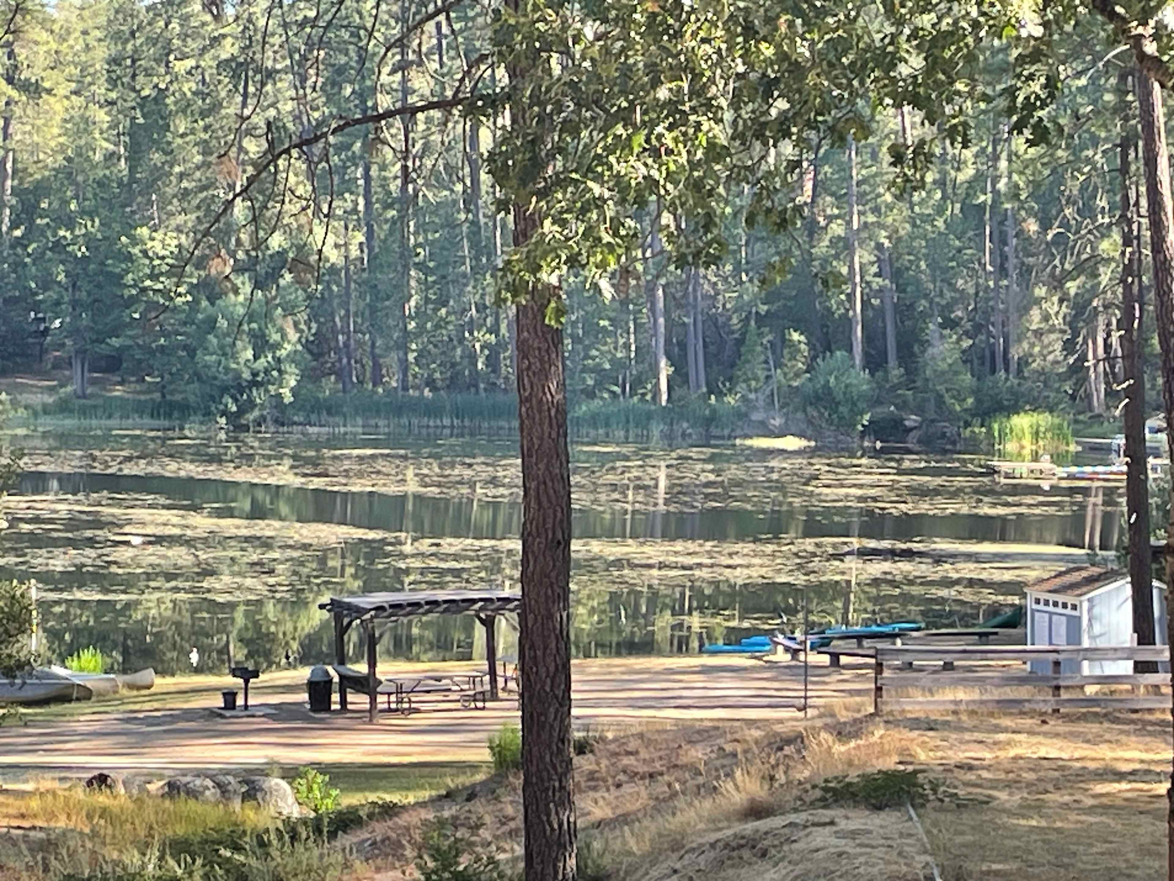 View of the lake - some grassy areas but clear enough to swim in most of it