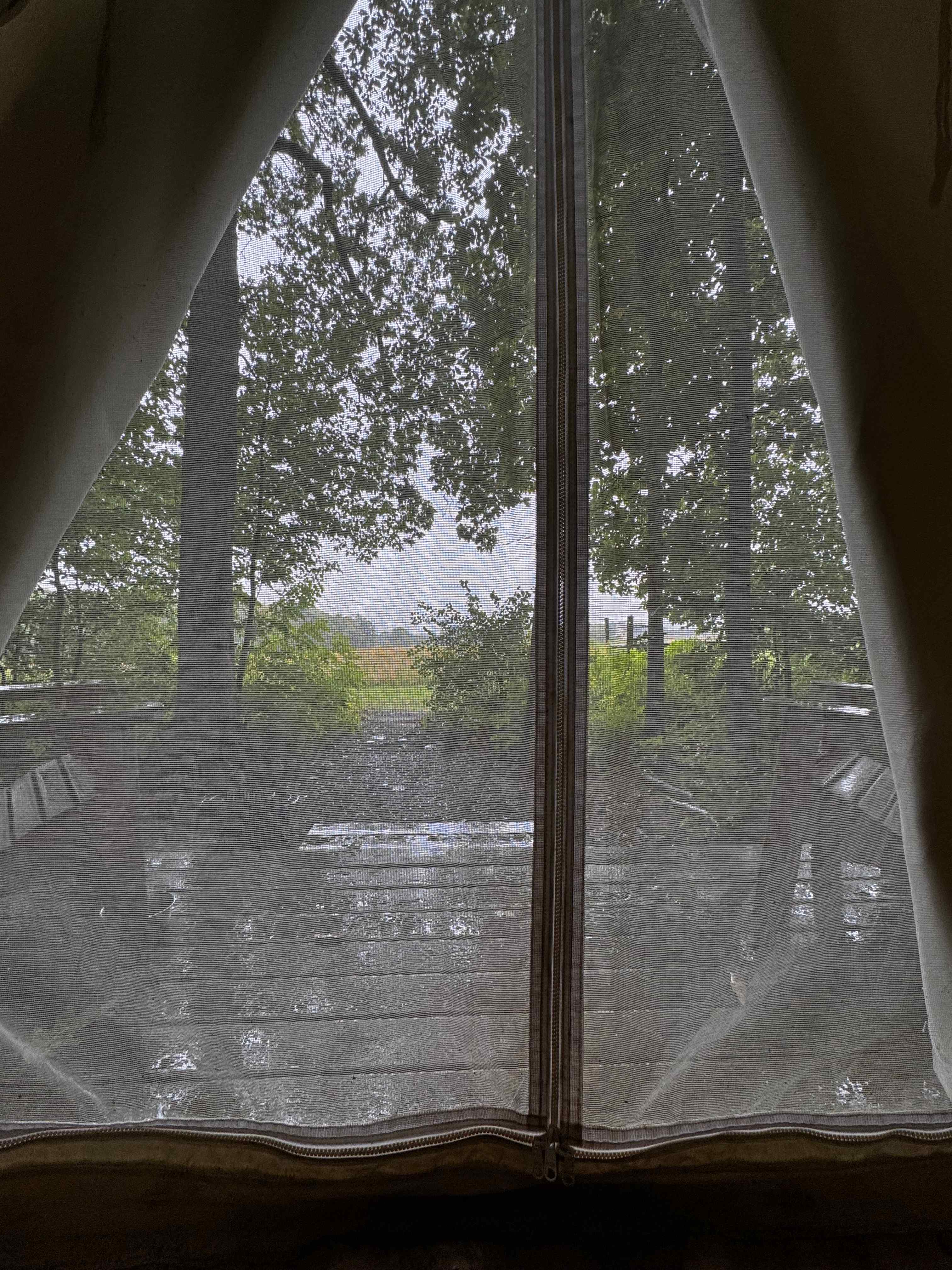 Orchard and Gorge At South Hill