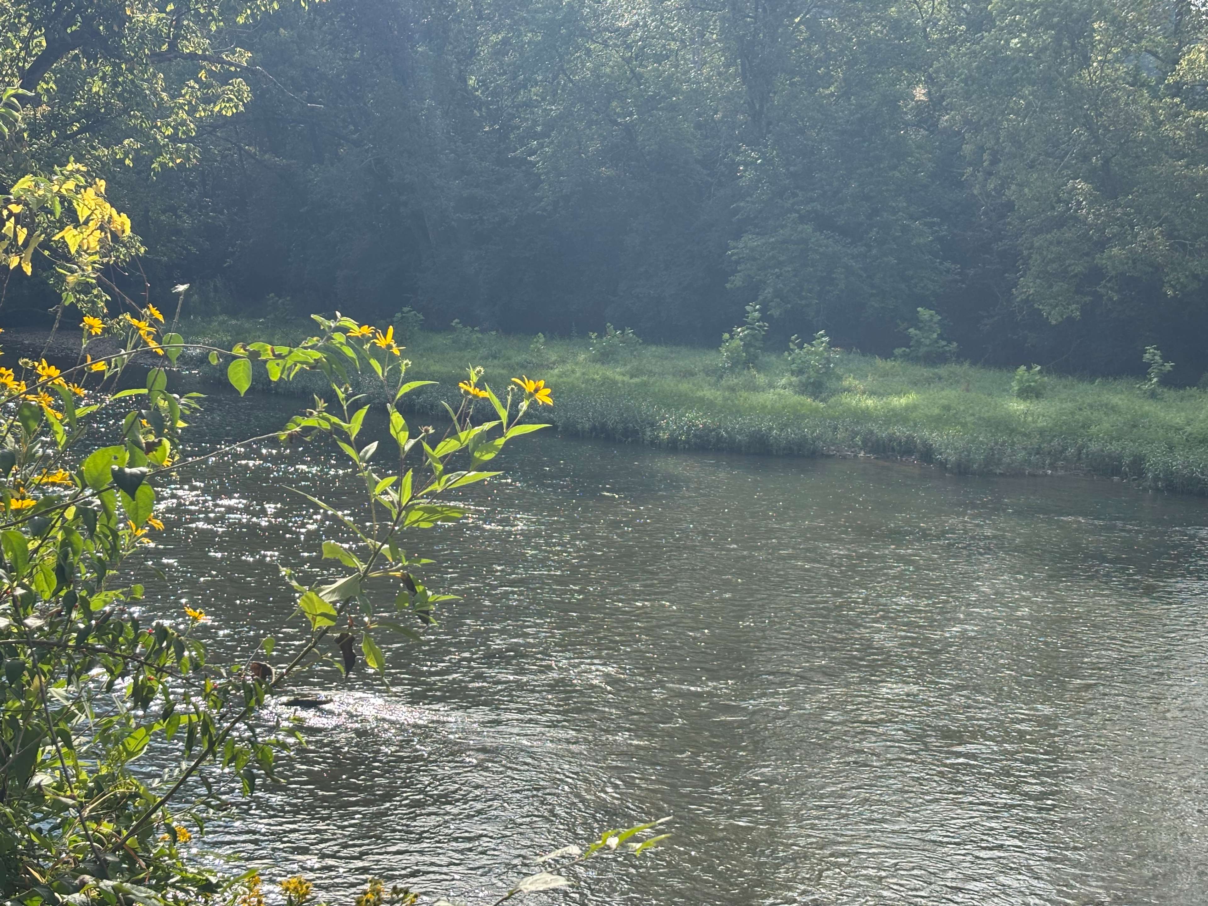 Riverside Adventures