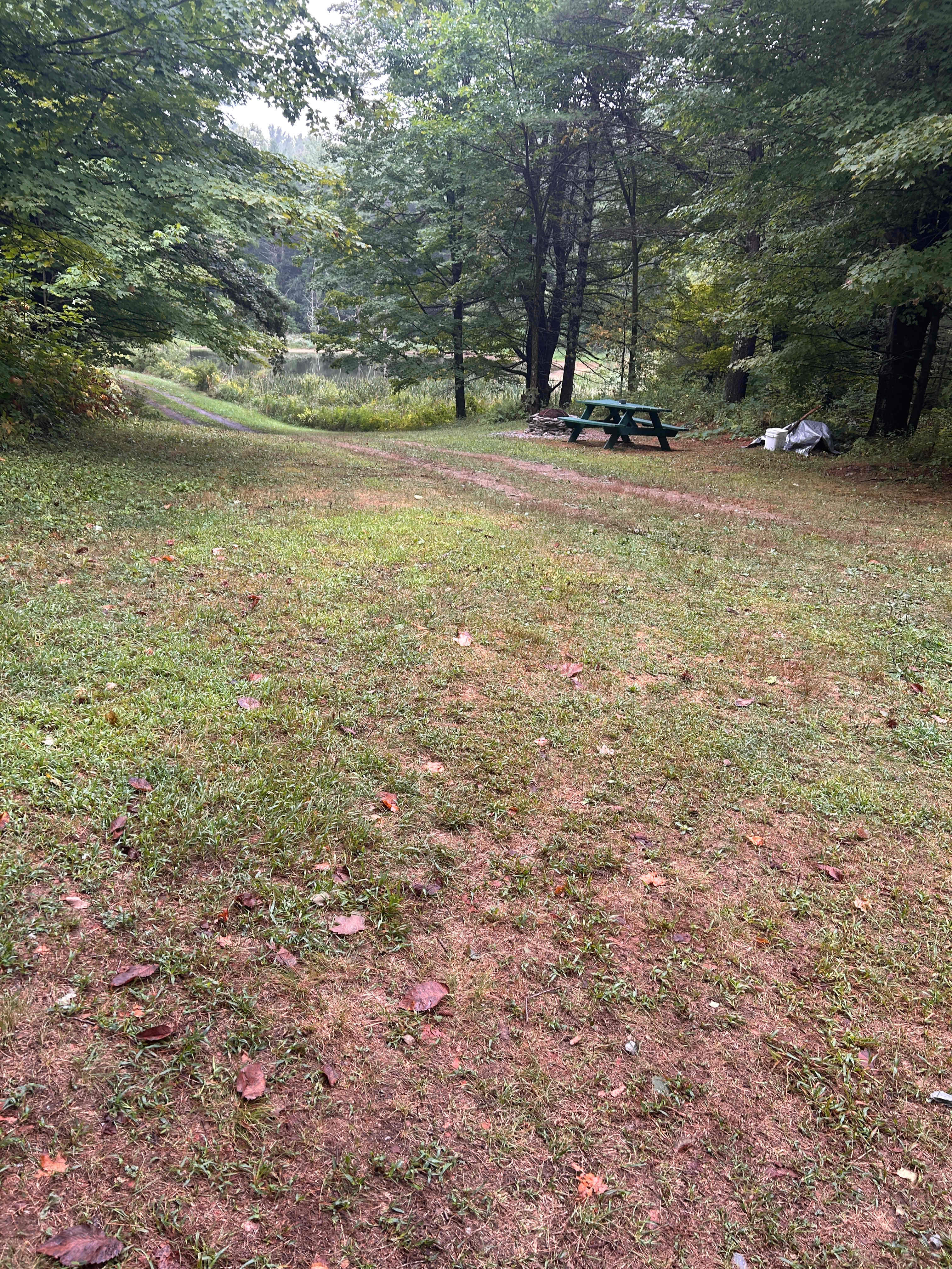Wilderness Pond Cabin :Off-the-grid